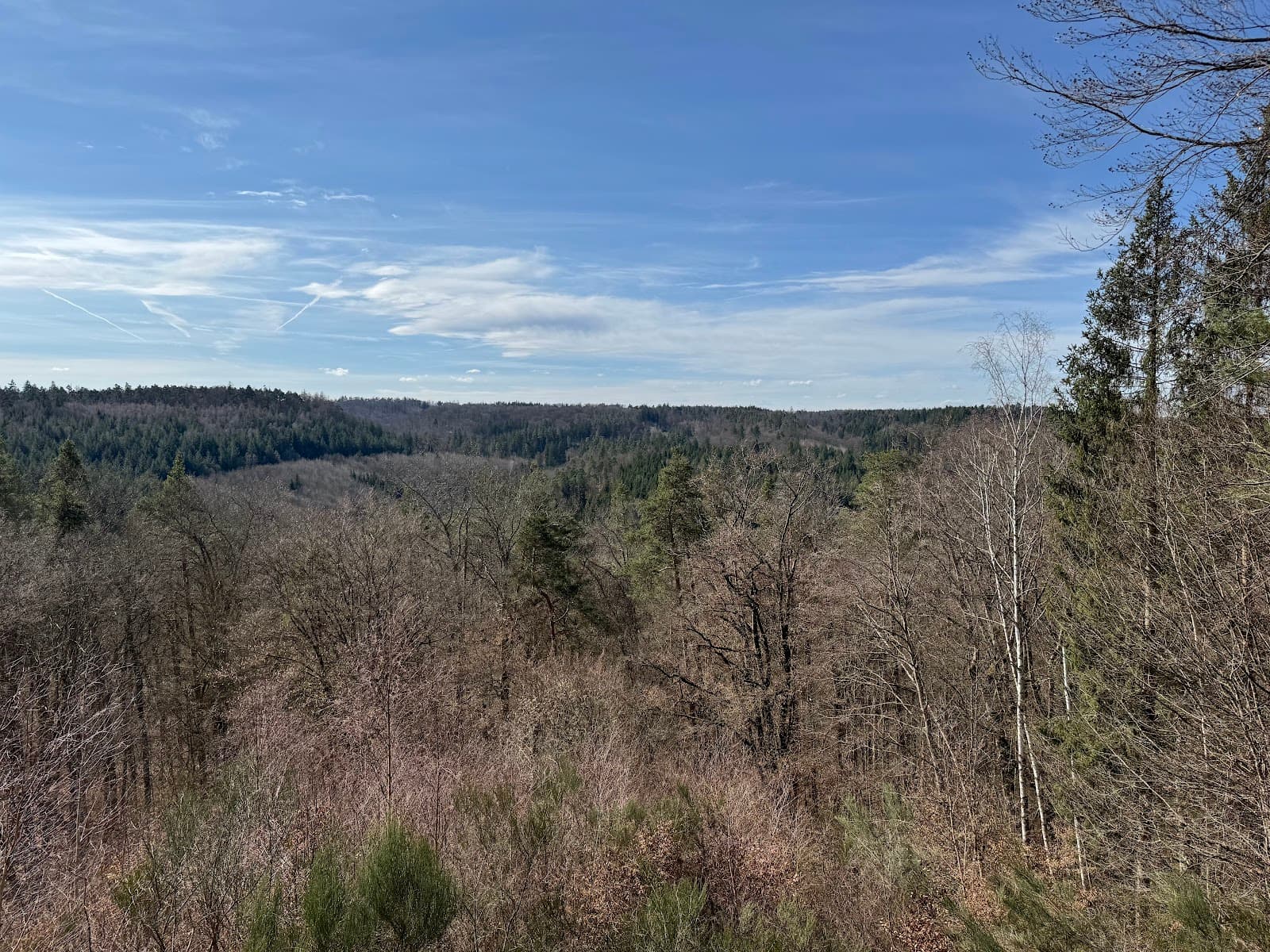 Schönbuch Nature Park - Image 1