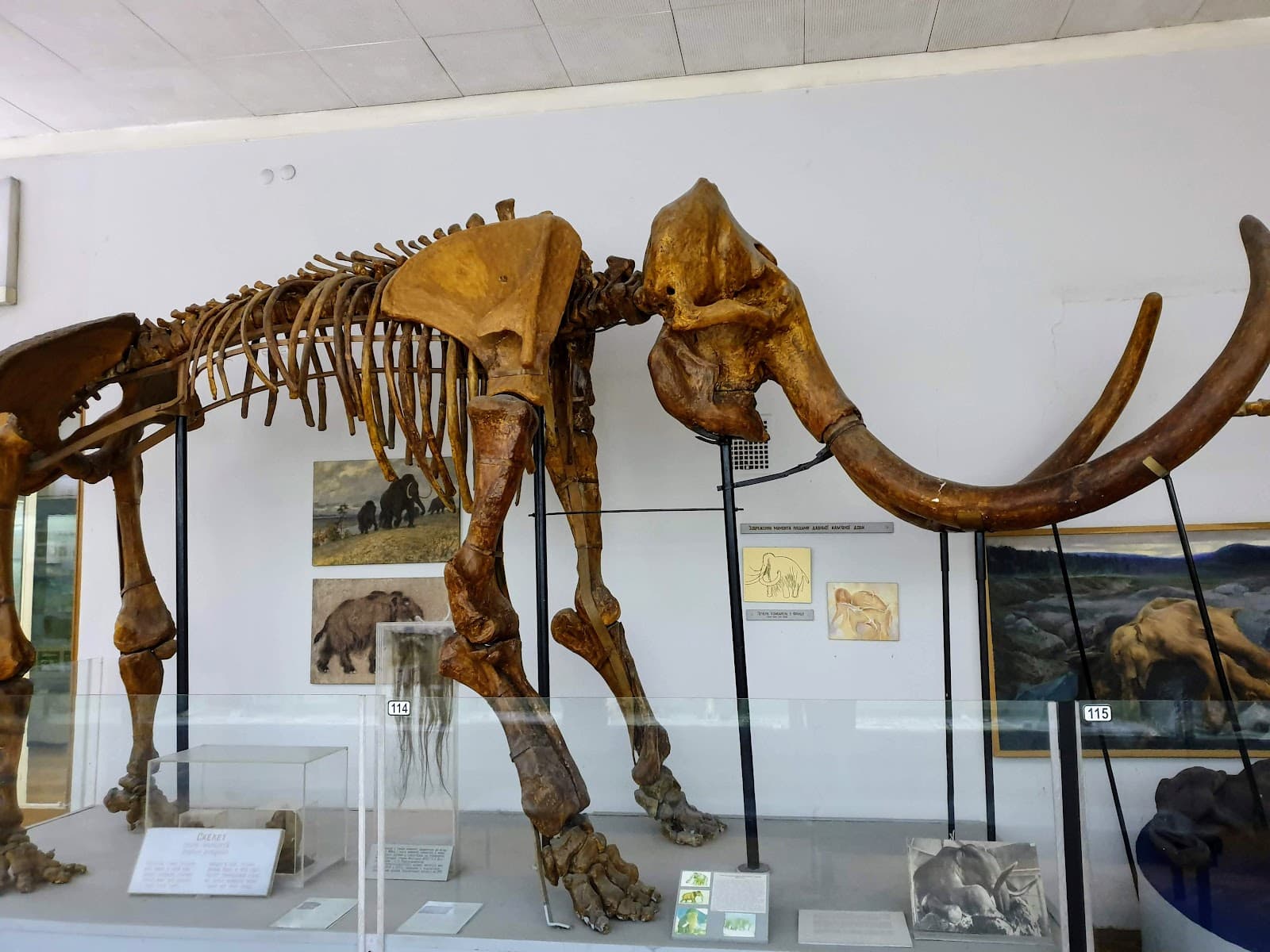 National Museum of Natural History - Image 1