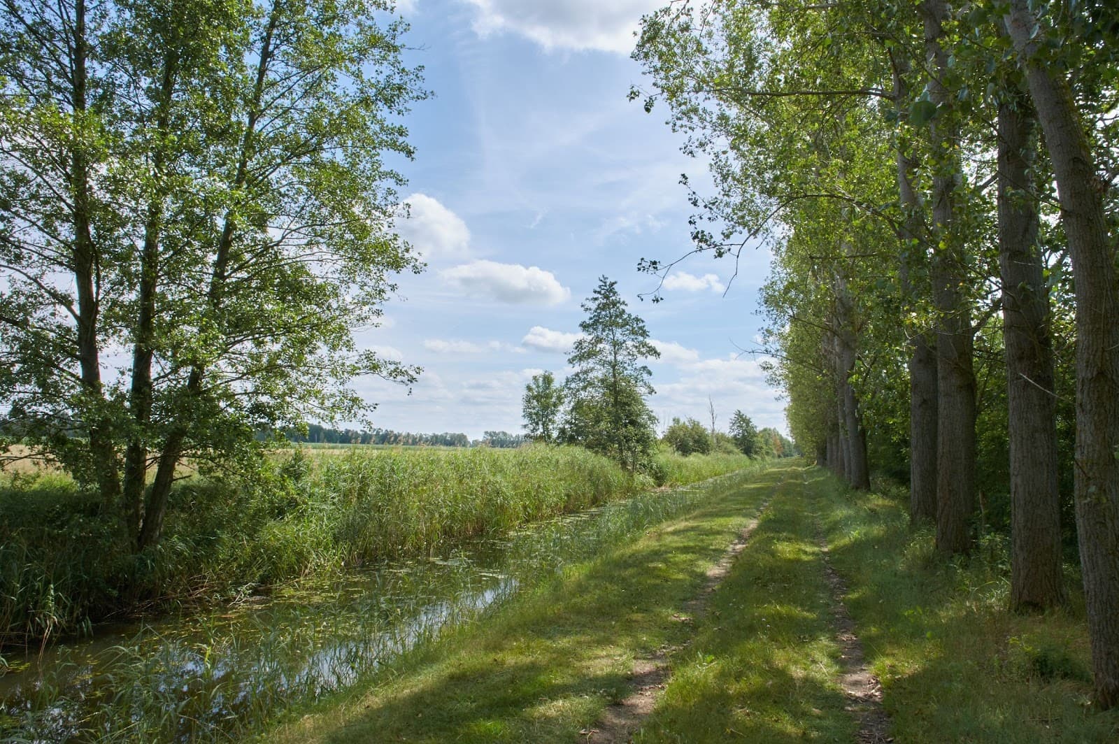 Drömling Biosphere Reserve (day trip) - Image 1
