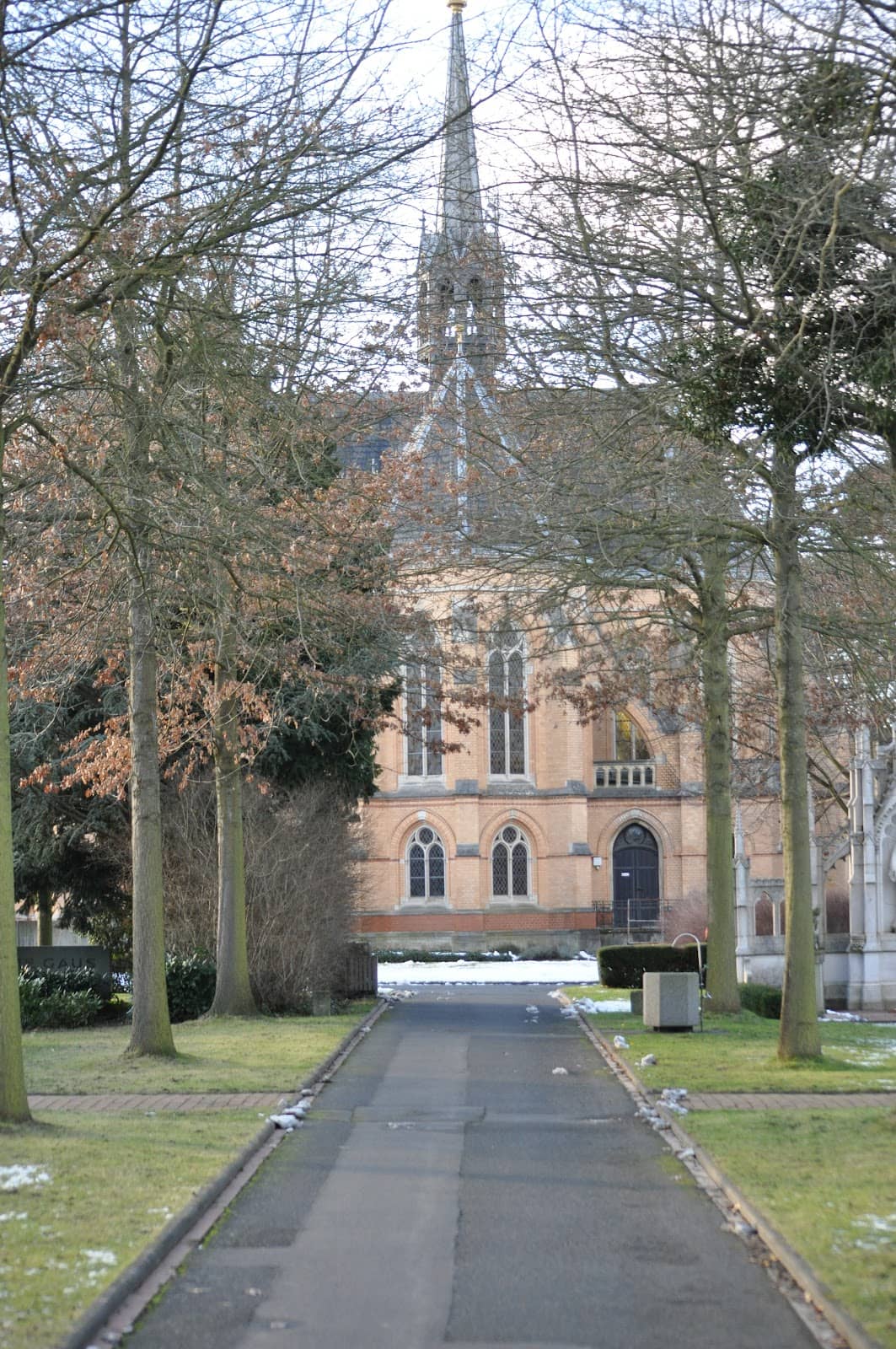 Vertical photo