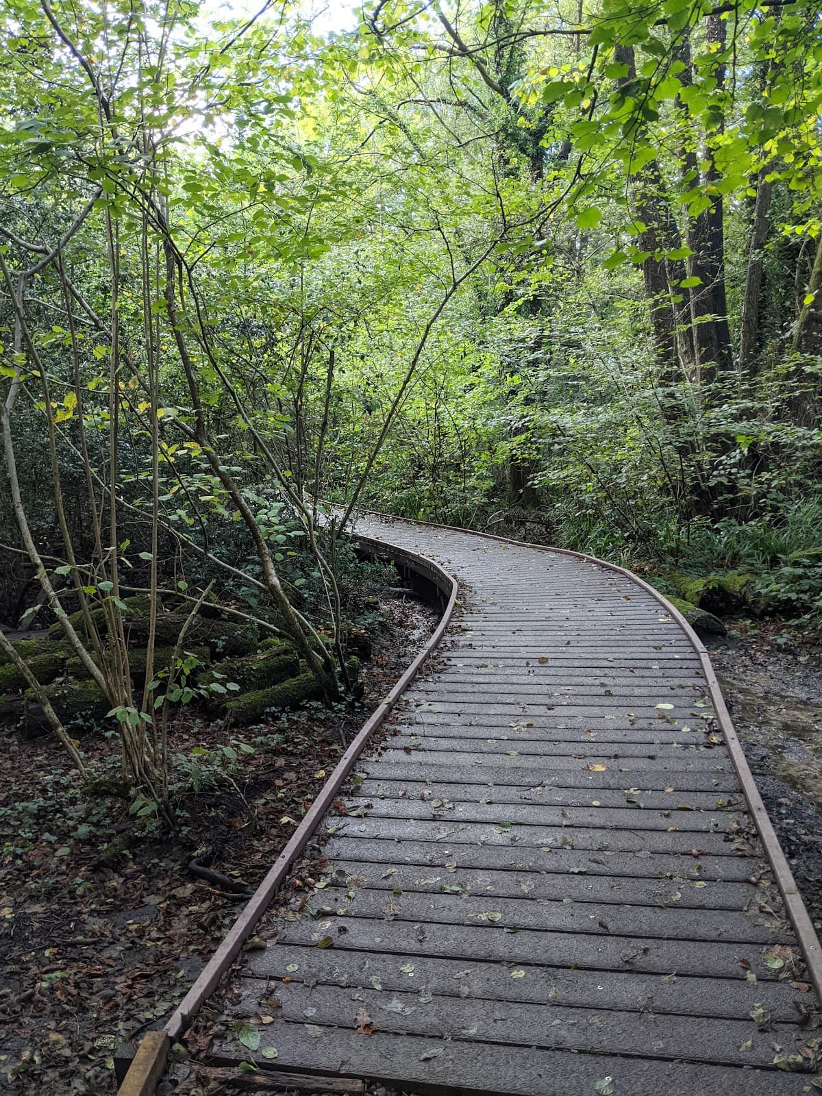 Rowhill Nature Reserve - Image 1