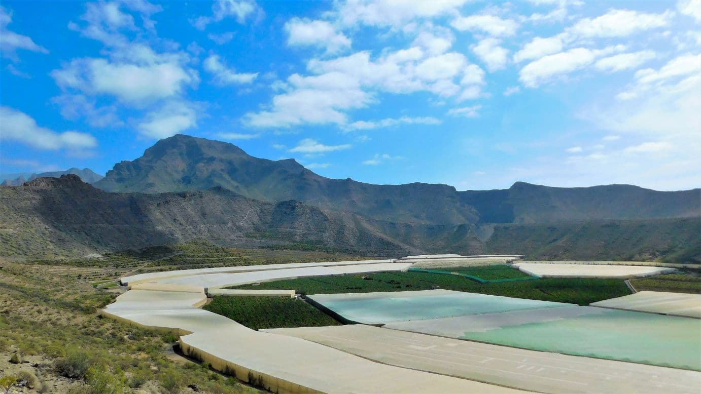 Caldera del Rey - Image 1