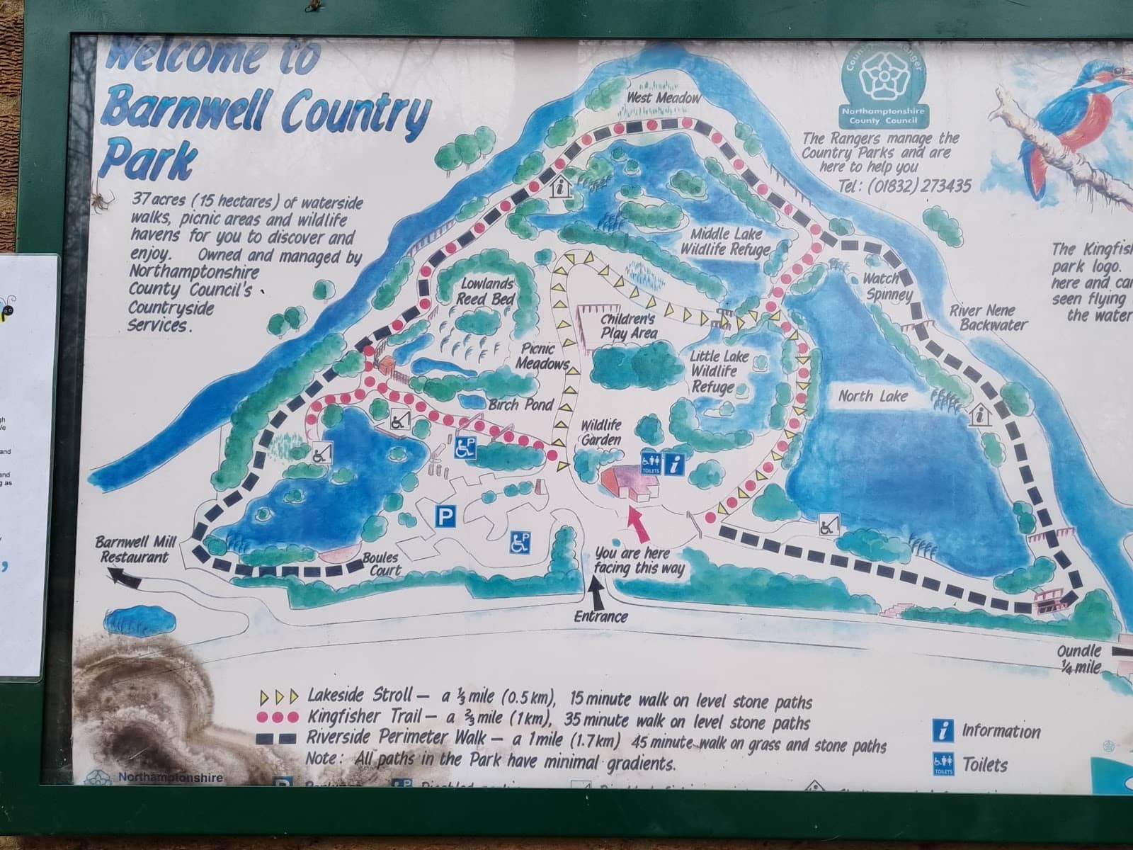 Wildlife Observation