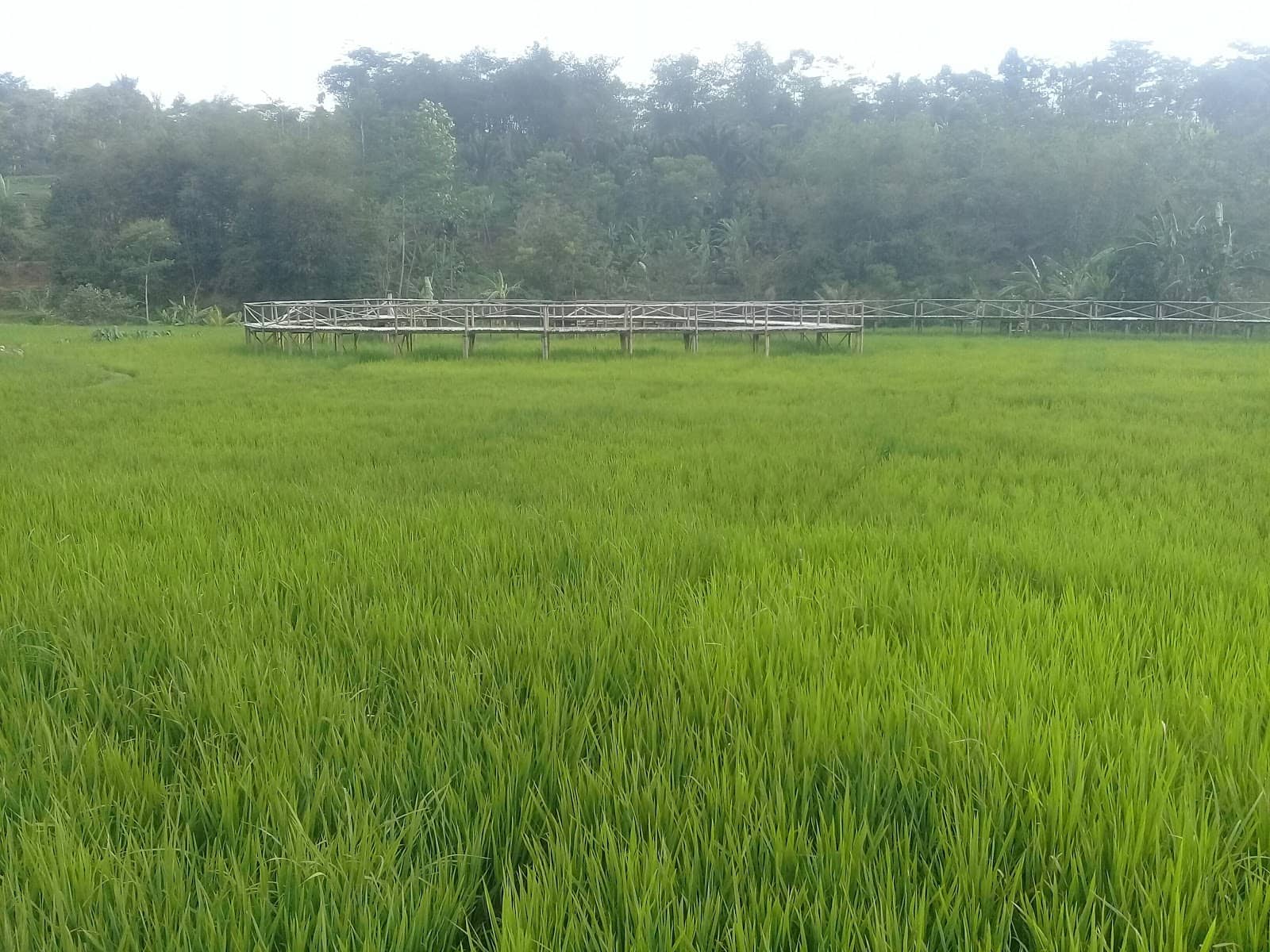 Goa Gudawang