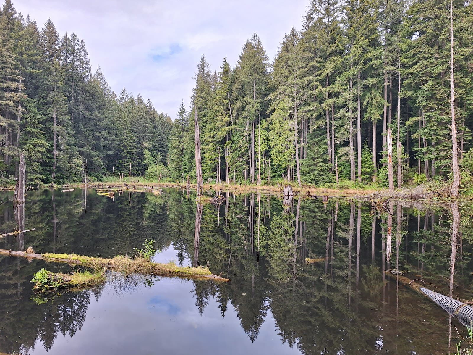 Redmond Watershed Preserve - Image 1