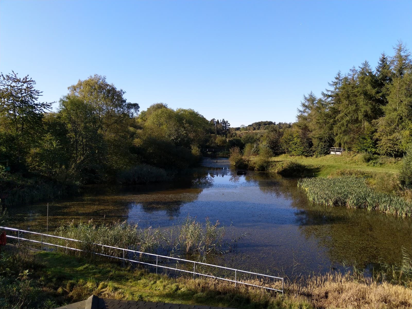 Foxglove Covert Nature Reserve - Image 1