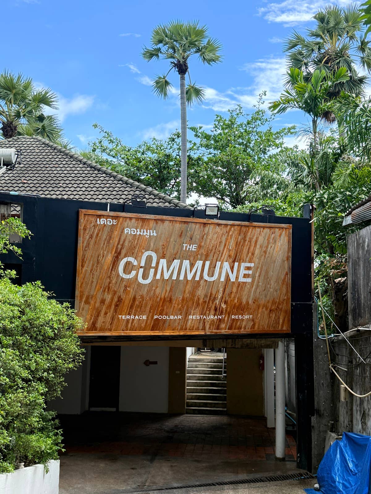 Delicious Food & Drinks