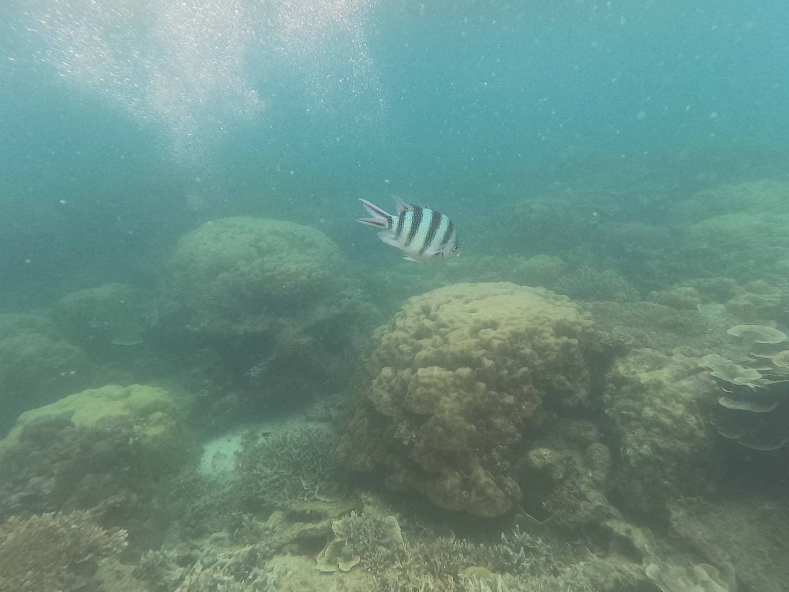 Snorkeling Adventure