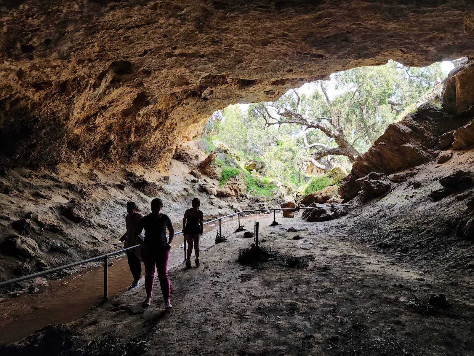 Unique Flora and Fauna