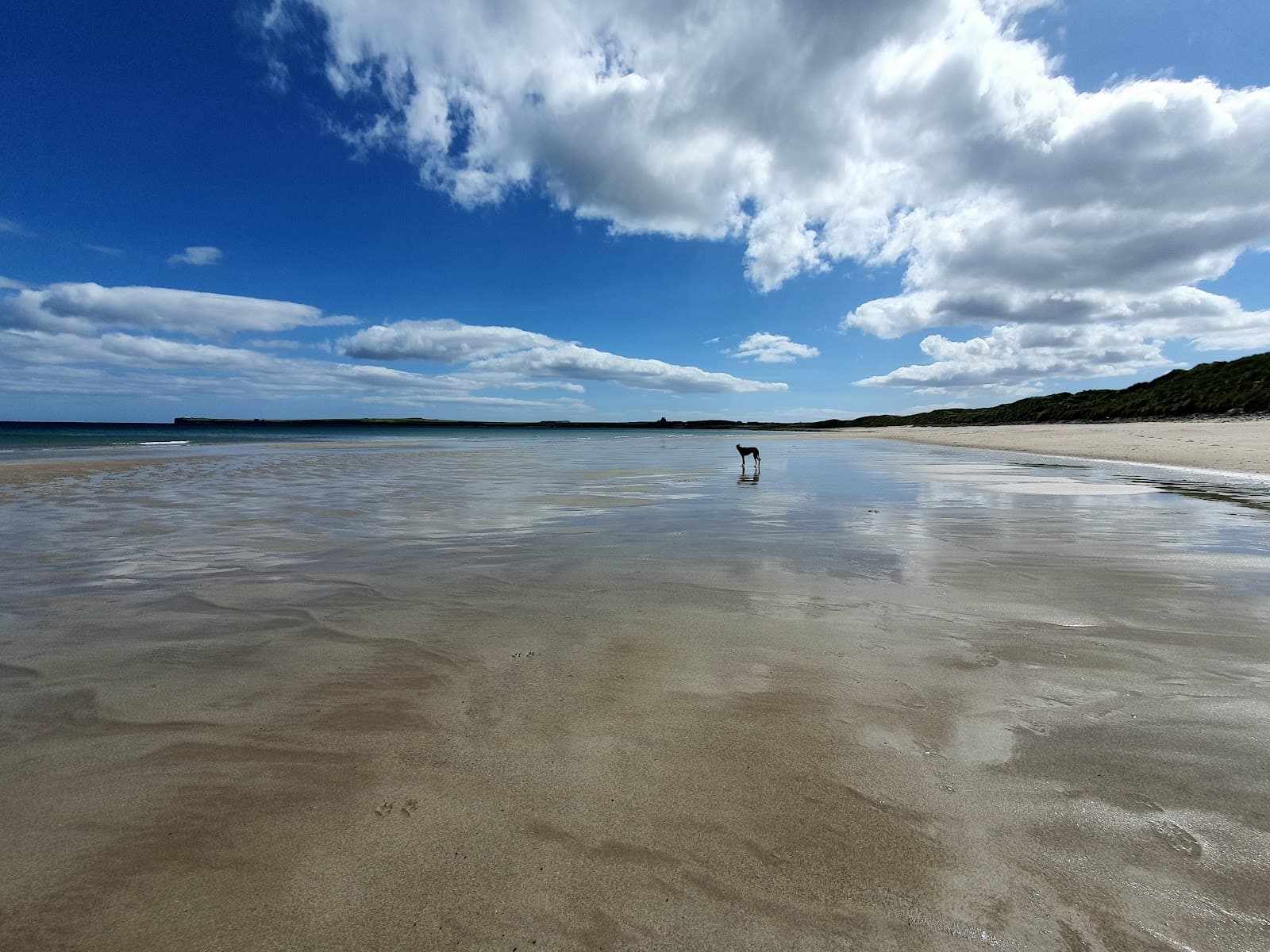 Reiss Beach - Image 1