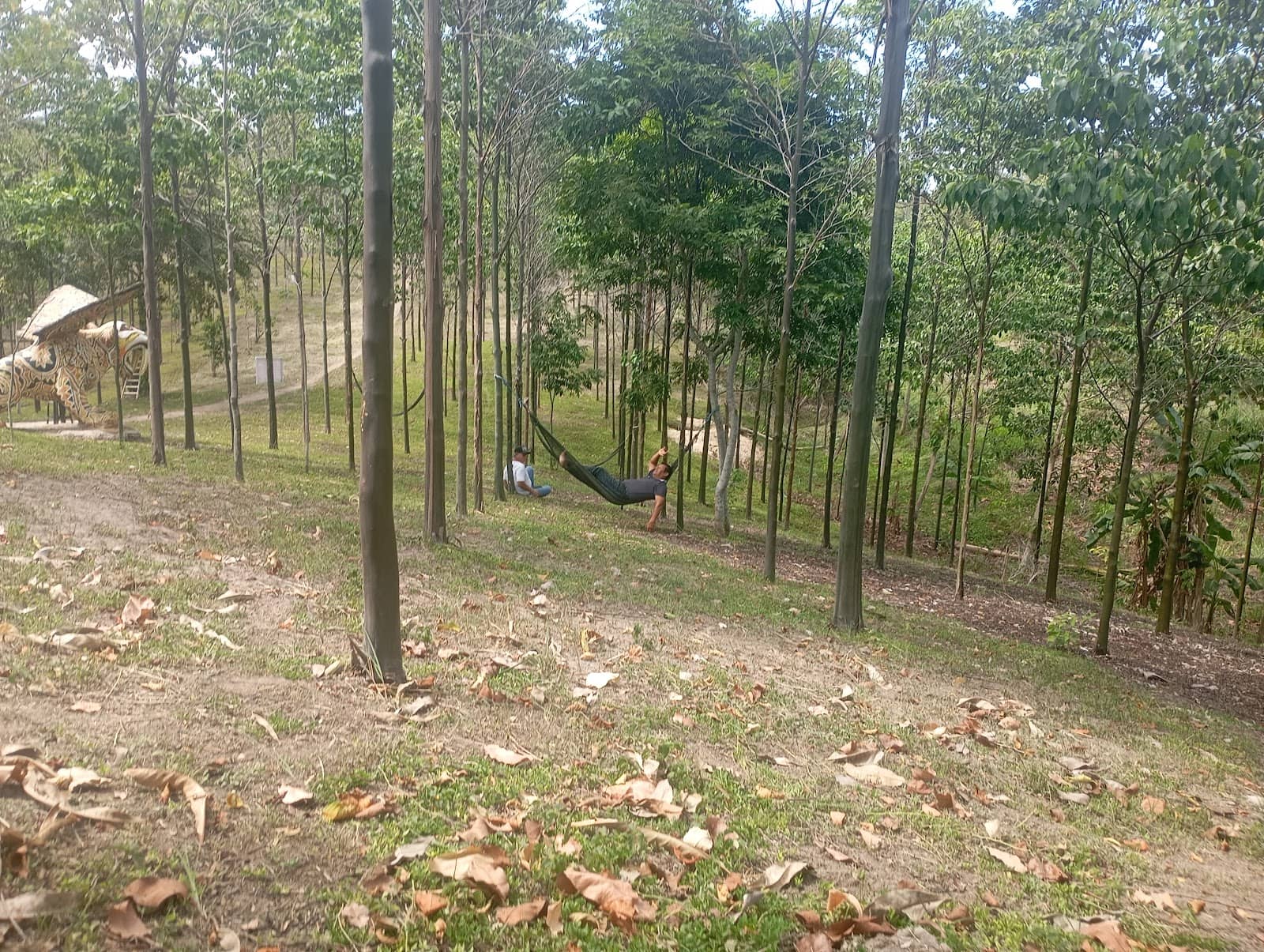 Vertical photo