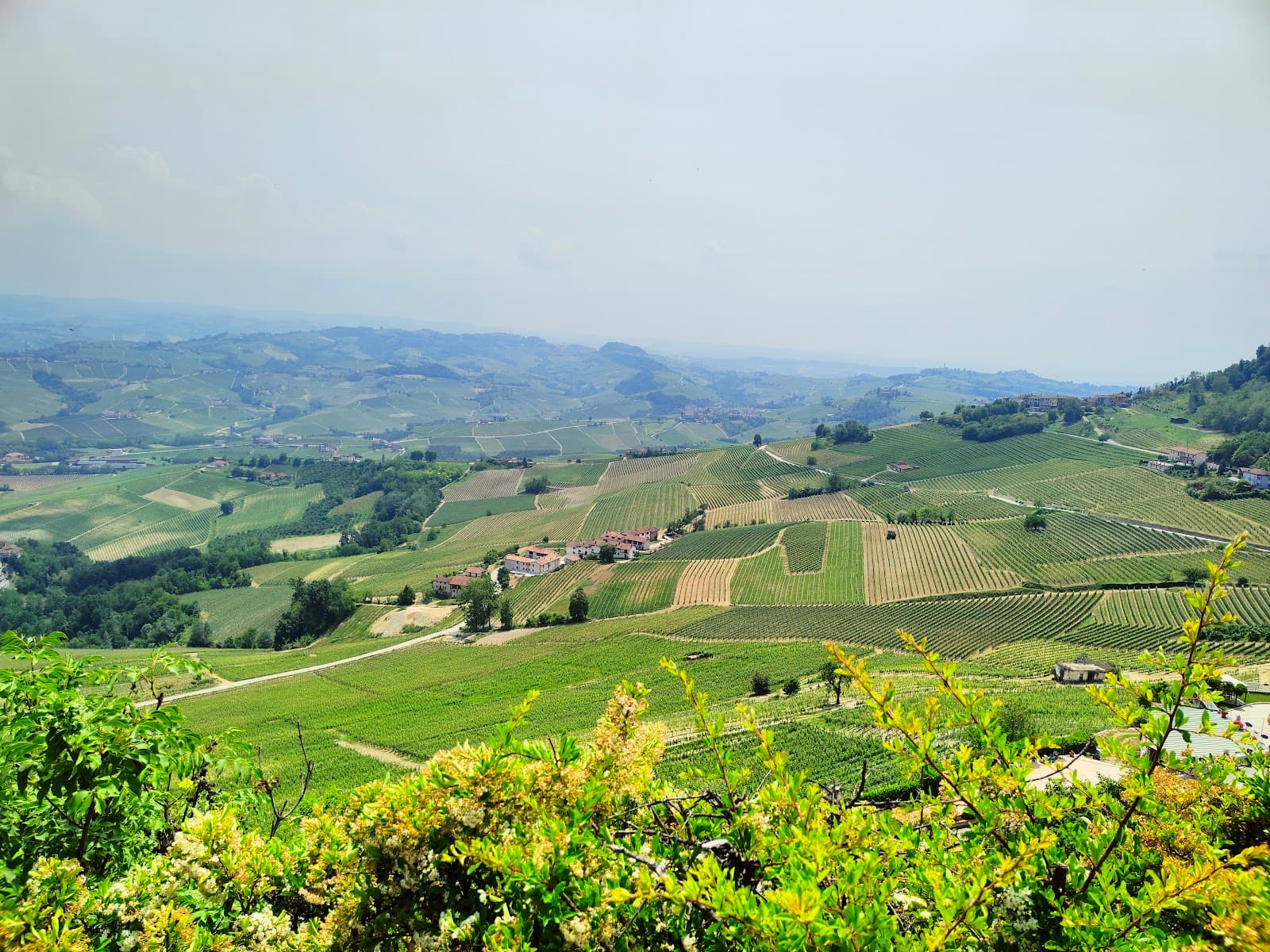 La Morra Belvedere - Image 1