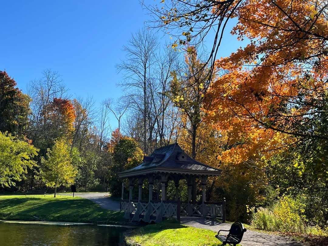 Jackson Park - Image 1