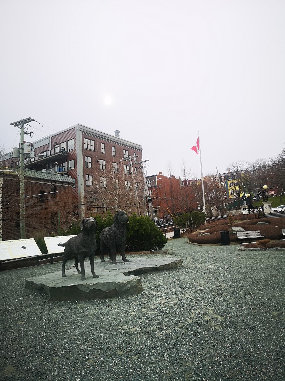 Downtown St. John's - Image 1