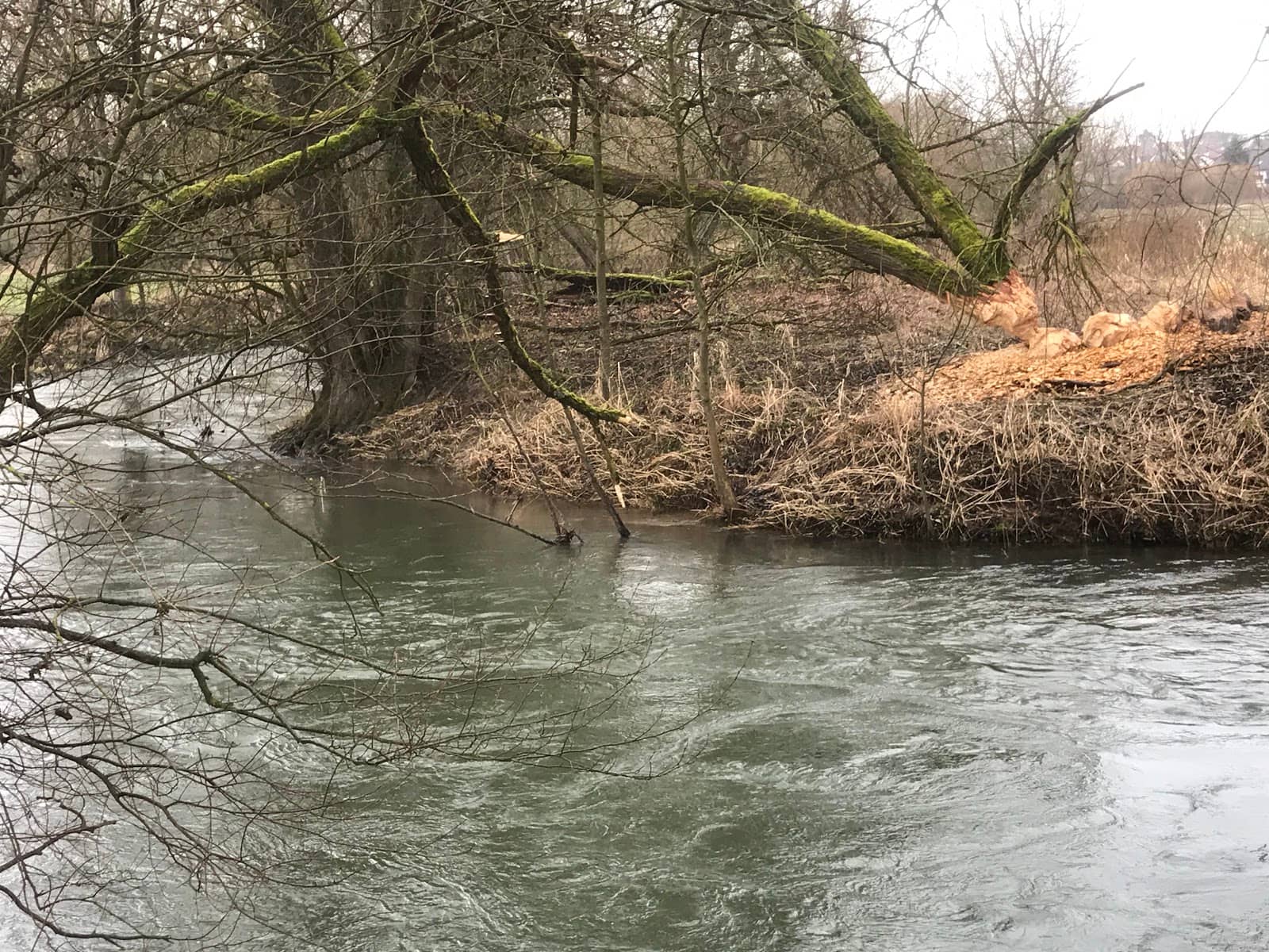 Clear River Sections