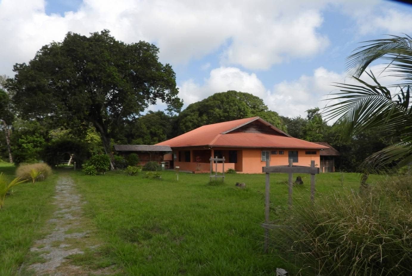 Pripri de Yiyi Wetlands - Image 1