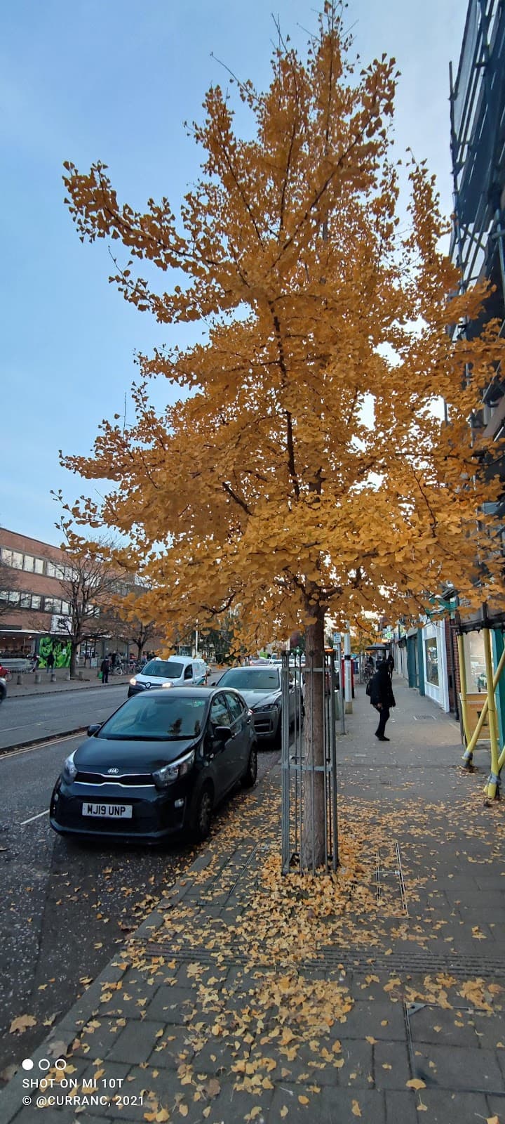 Summertown - Image 1