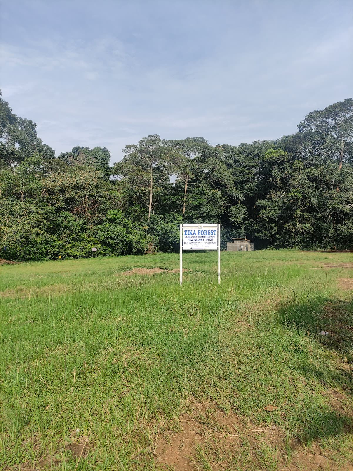 Zika Forest - Image 1