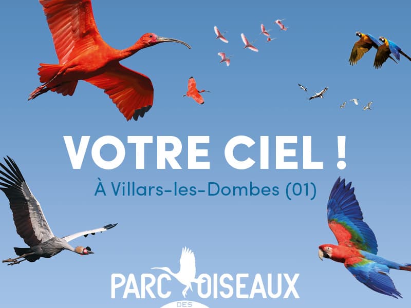 Parc des Oiseaux - Image 1