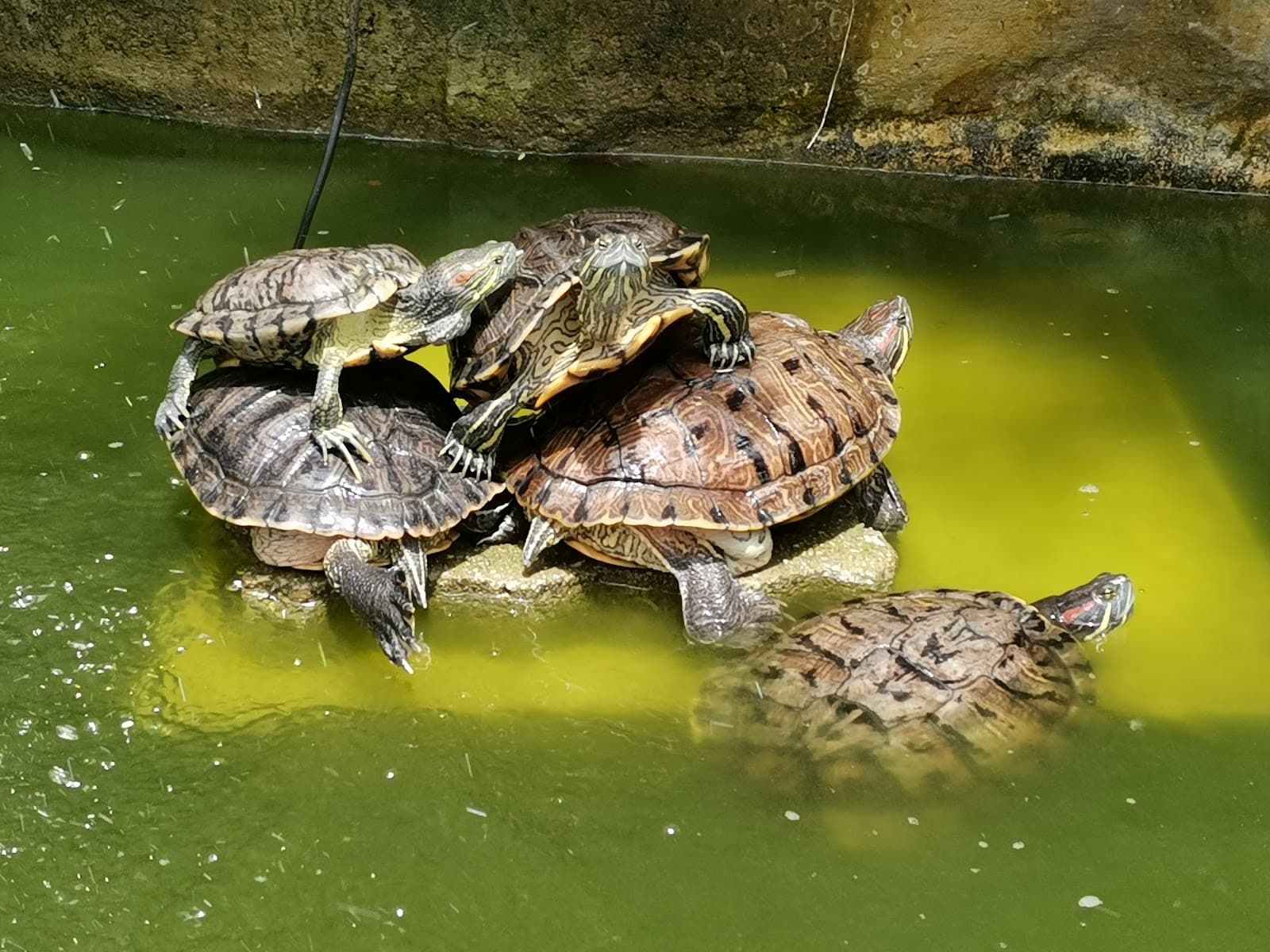 Damansara Heights - Image 1