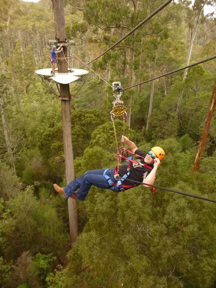 Hollybank Treetops Adventure - Image 1