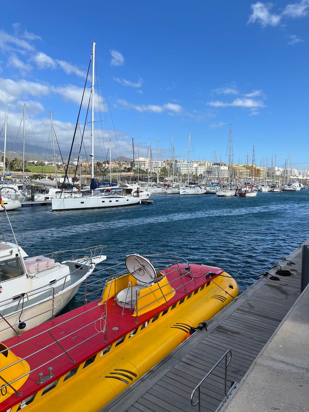 Marina San Miguel - Image 1