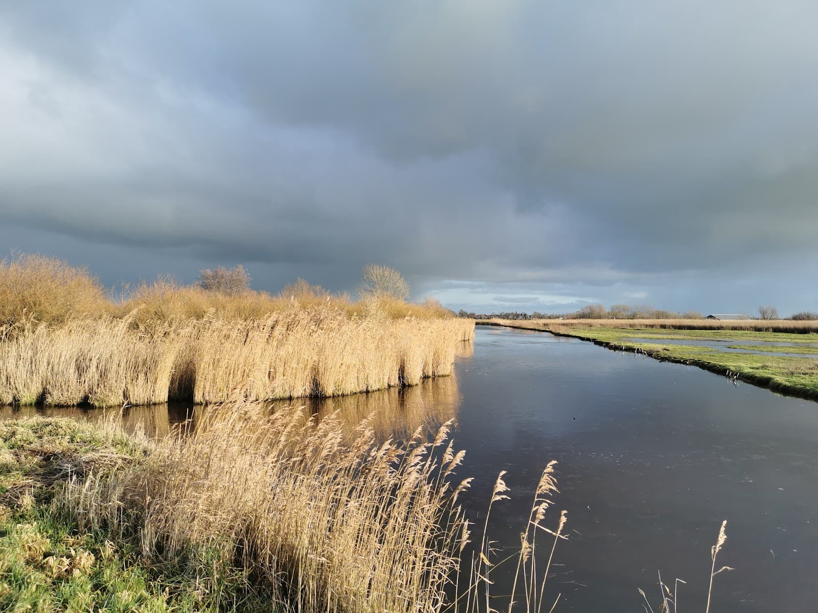 Eilandspolder - Image 1