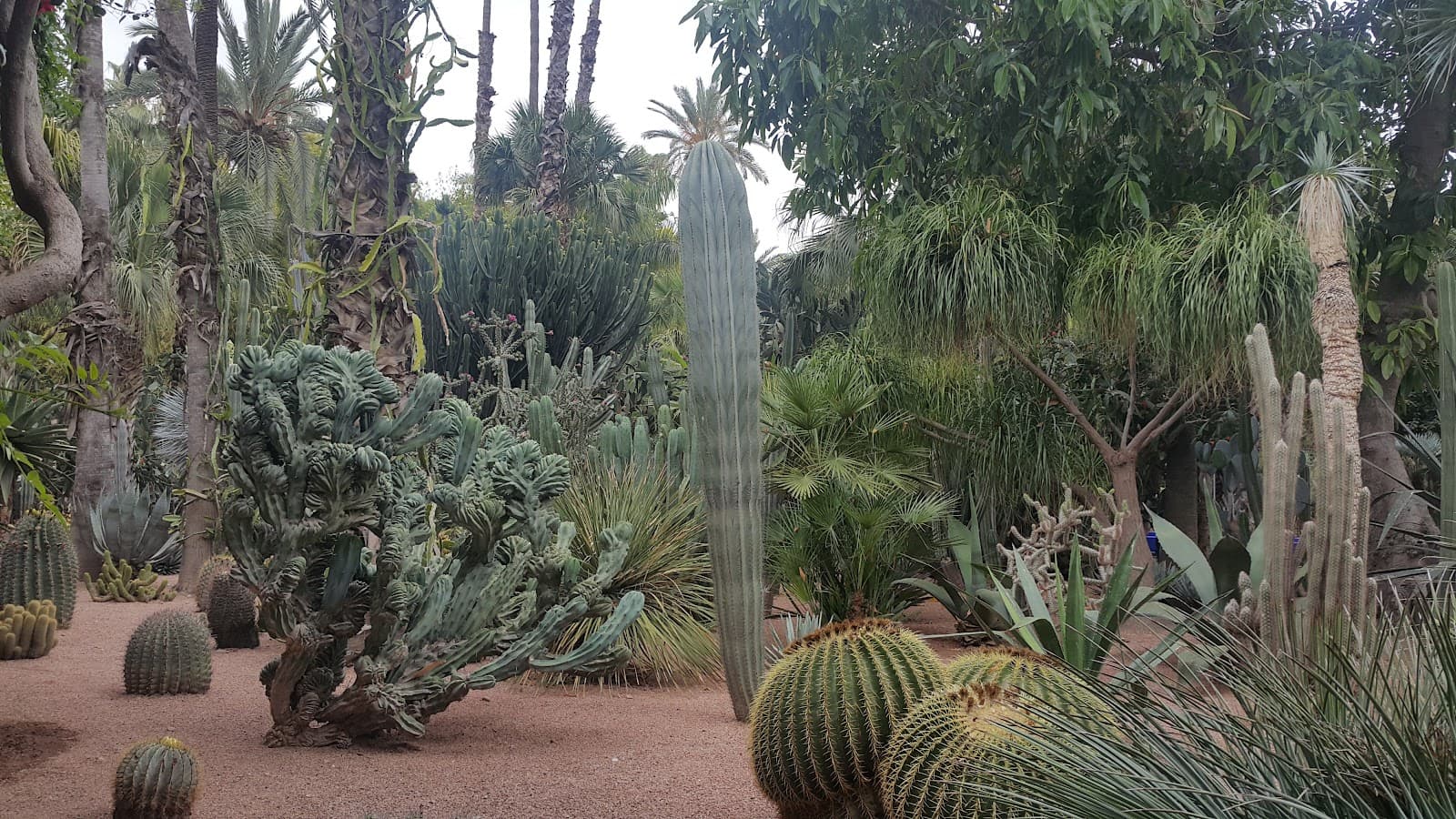 Rue Yves Saint Laurent Marrakesh - Image 1