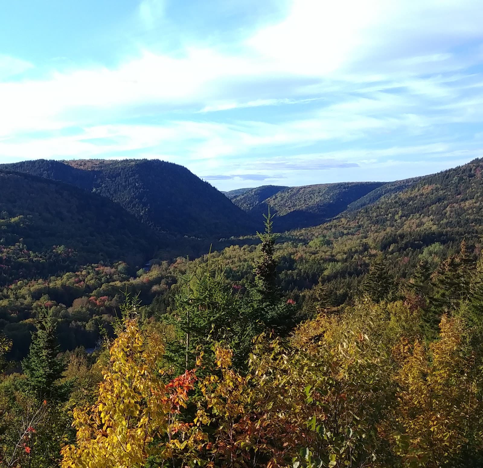 Crooked Creek Lookout - Image 1