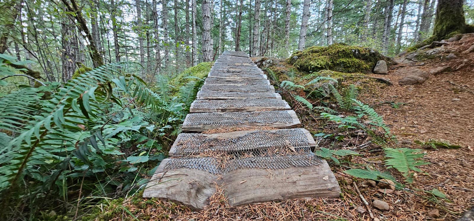 Mountain Biking Trails