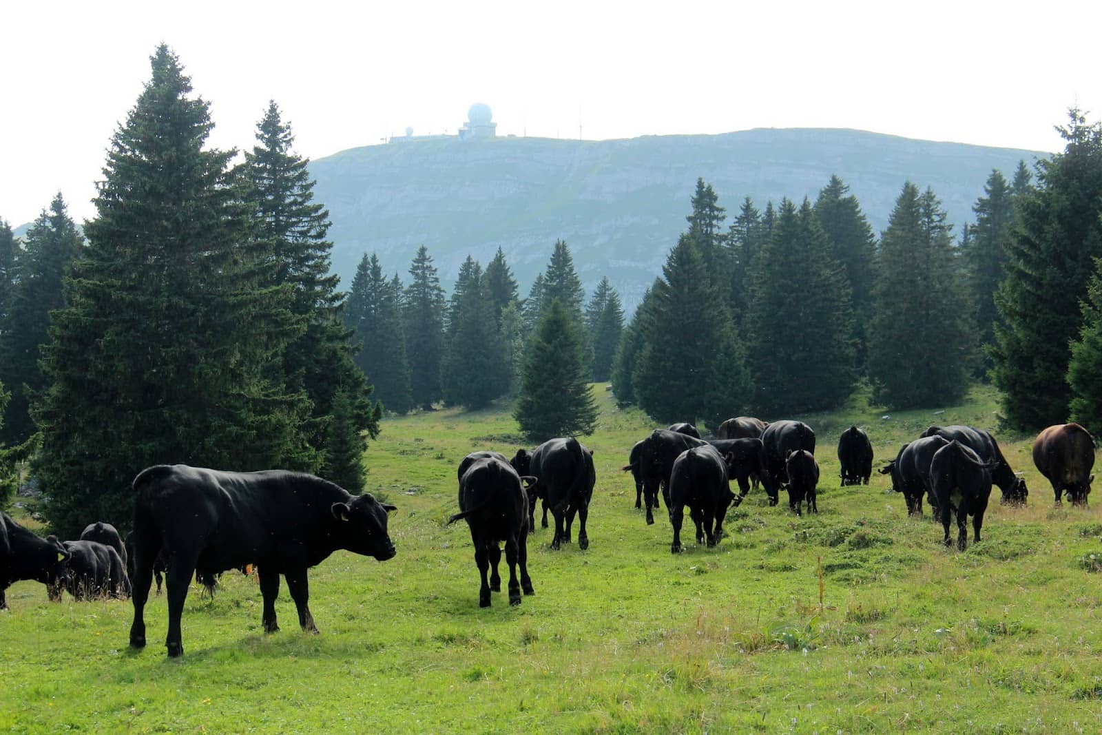 Scenic Drive to the Top