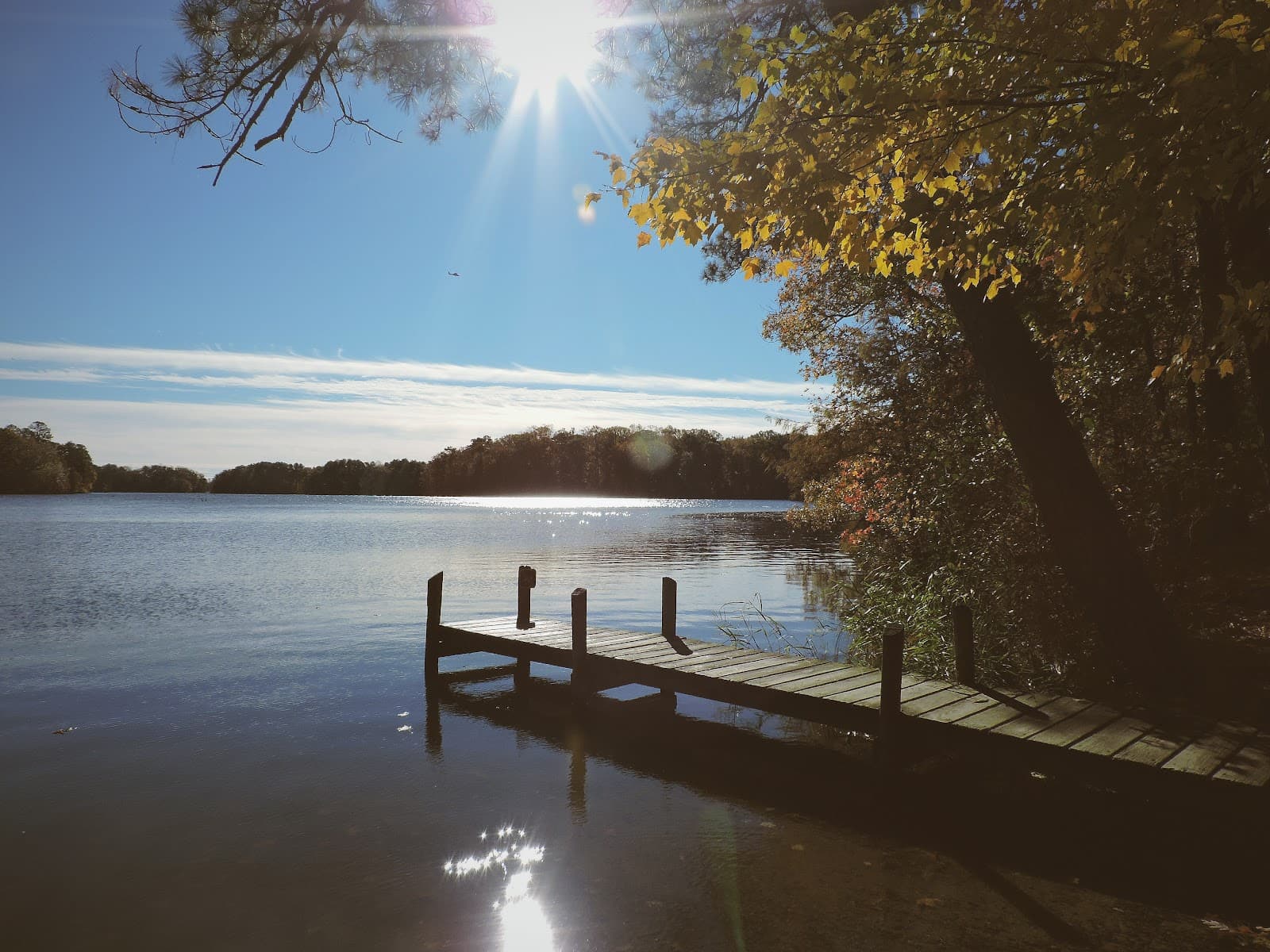 Harwood's Mill Reservoir - Image 1