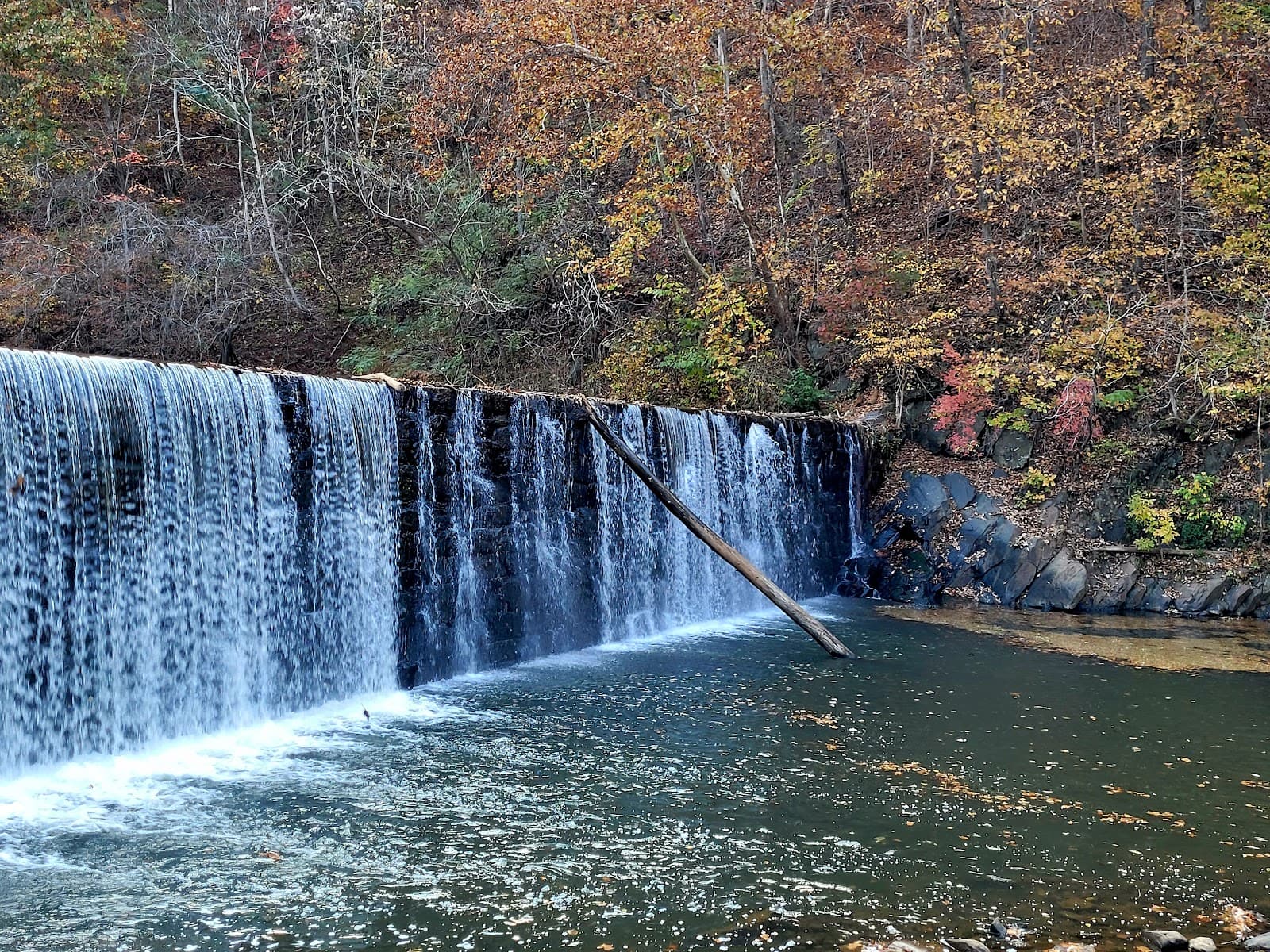 Hollins Mill Park & Dam - Image 1