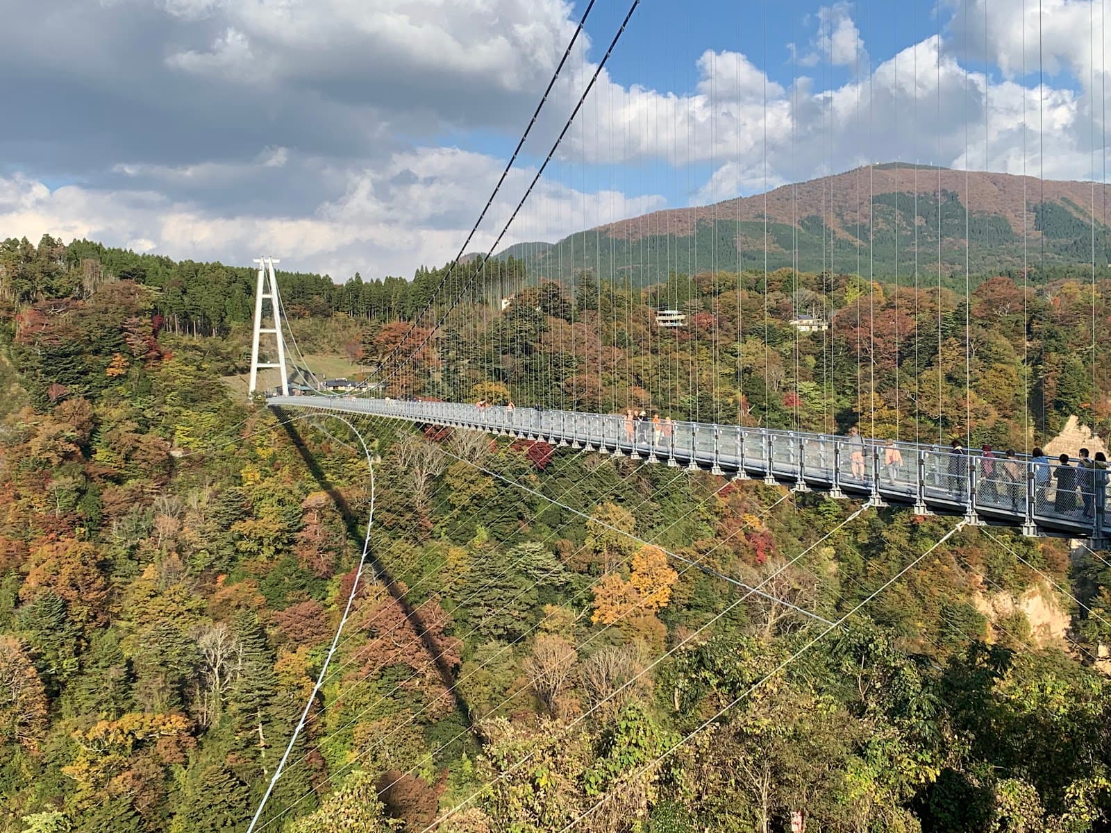 Kokonoe Yume Suspension Bridge - Image 1