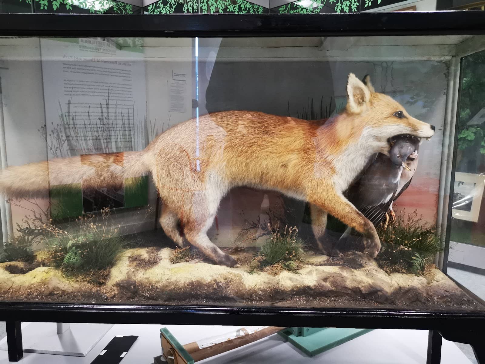 Changing Exhibitions