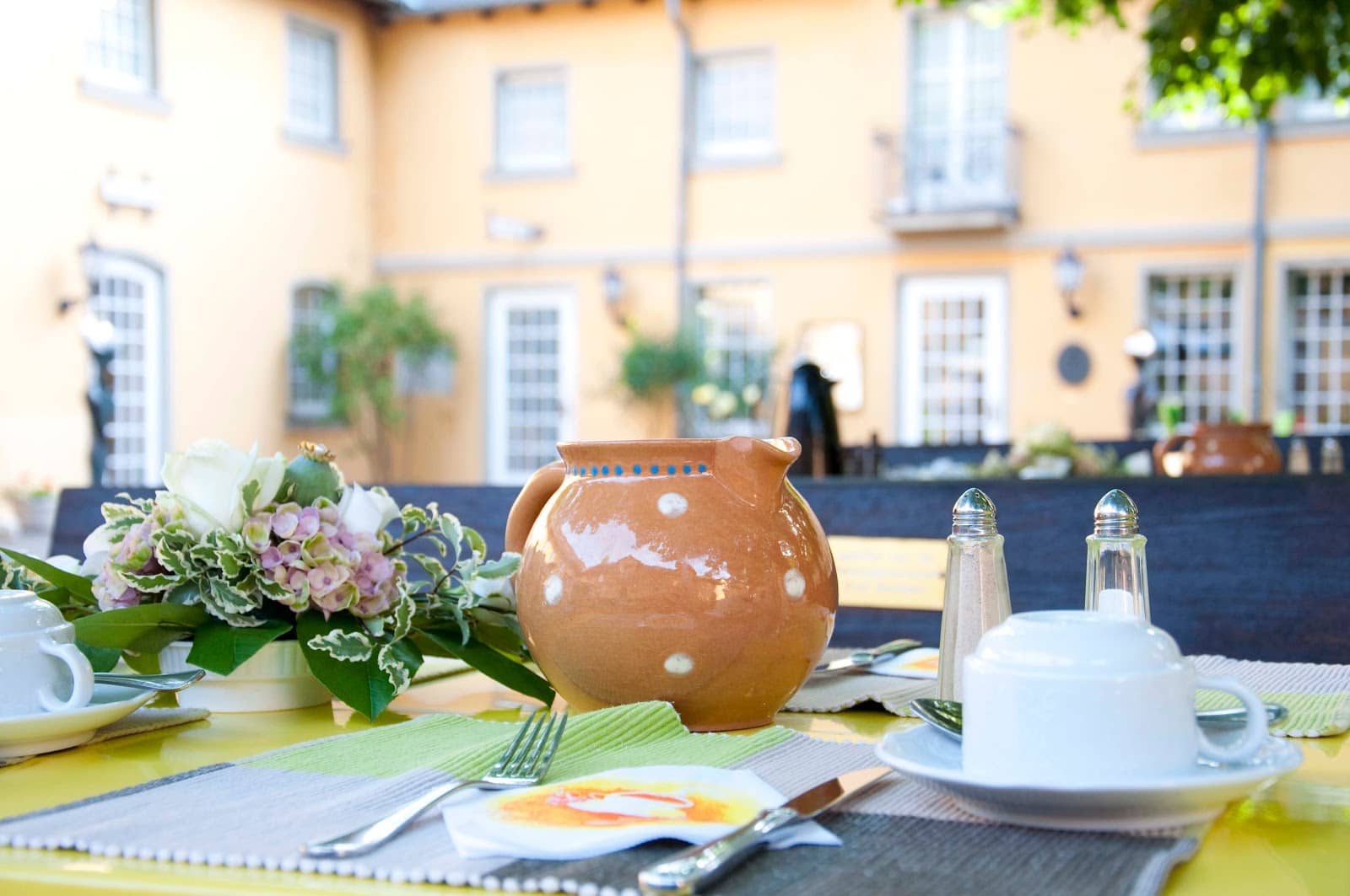 Spacious Property & Gardens