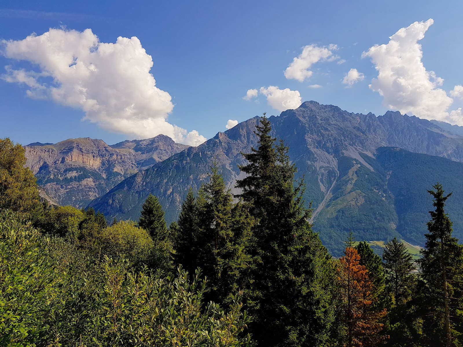 Paluaccio di Oga Nature Reserve - Image 1