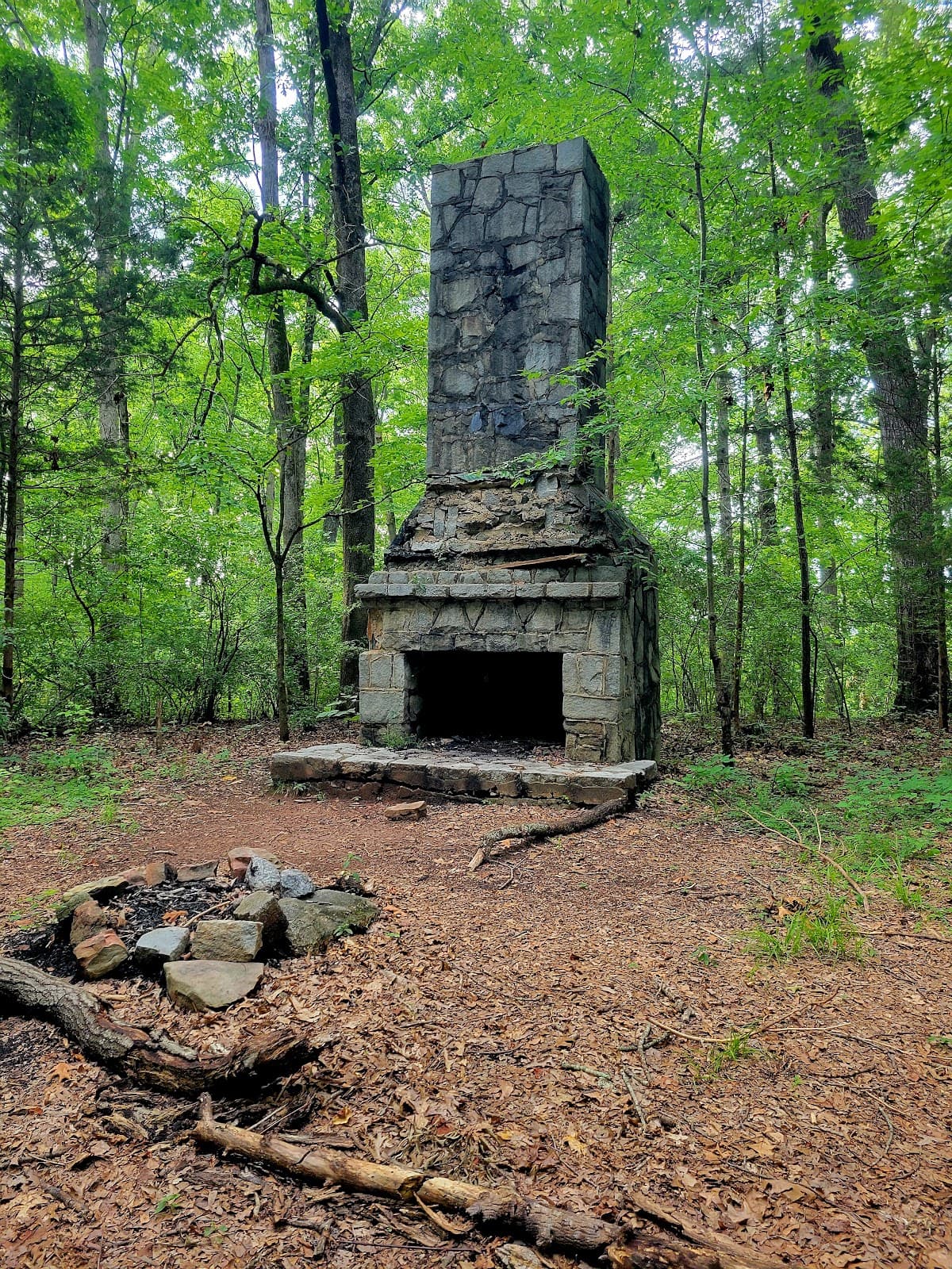 Oconee Forest Park, Athens - Image 1