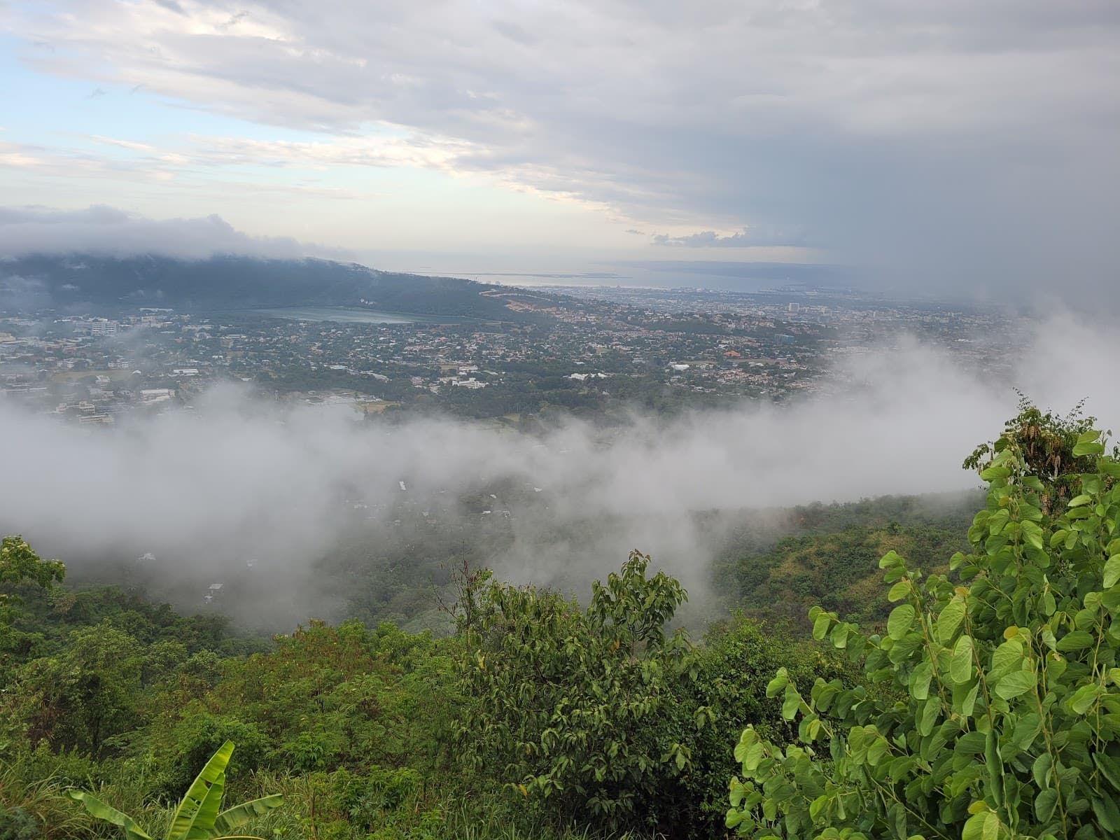 Newcastle Lookout - Image 1