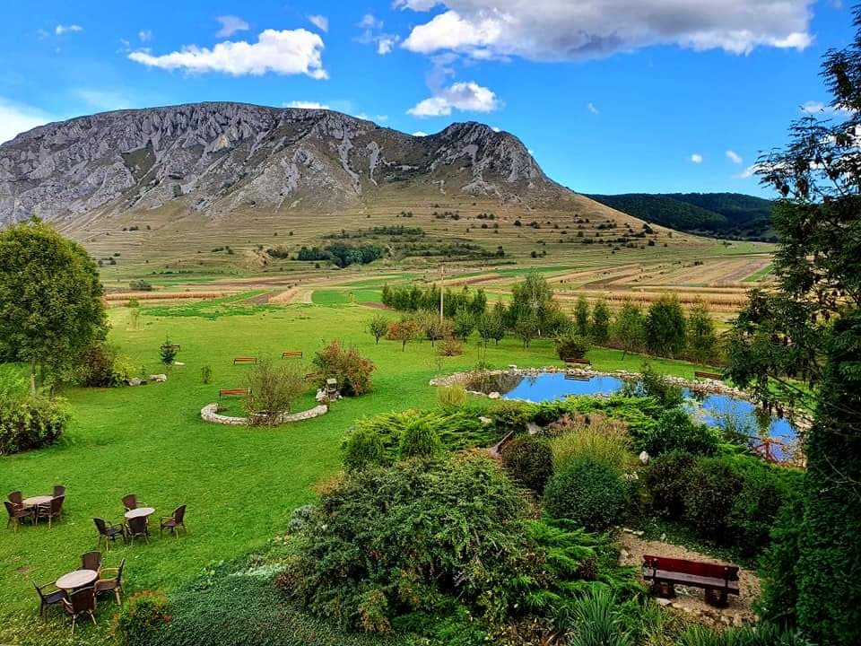 Colțești Fortress - Image 1