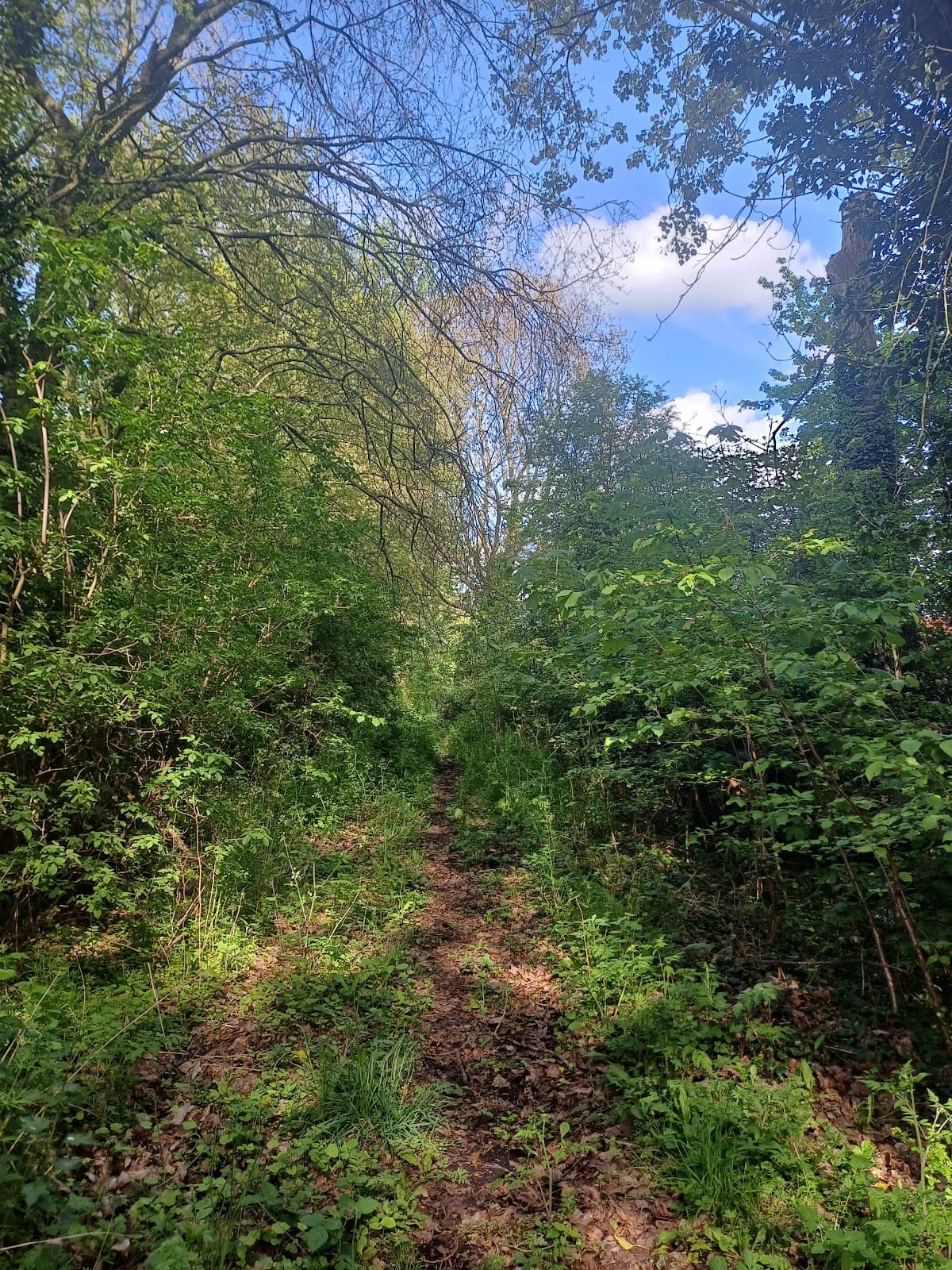 Garendon Park & Triumphal Arch - Image 1