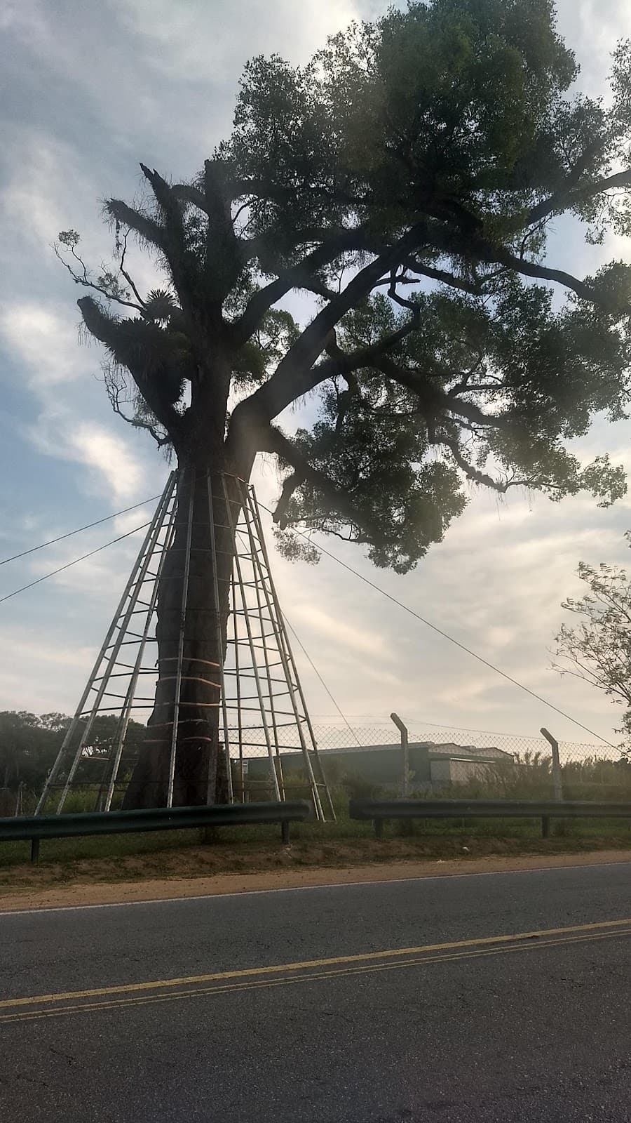 Eugênio de Melo - Image 1