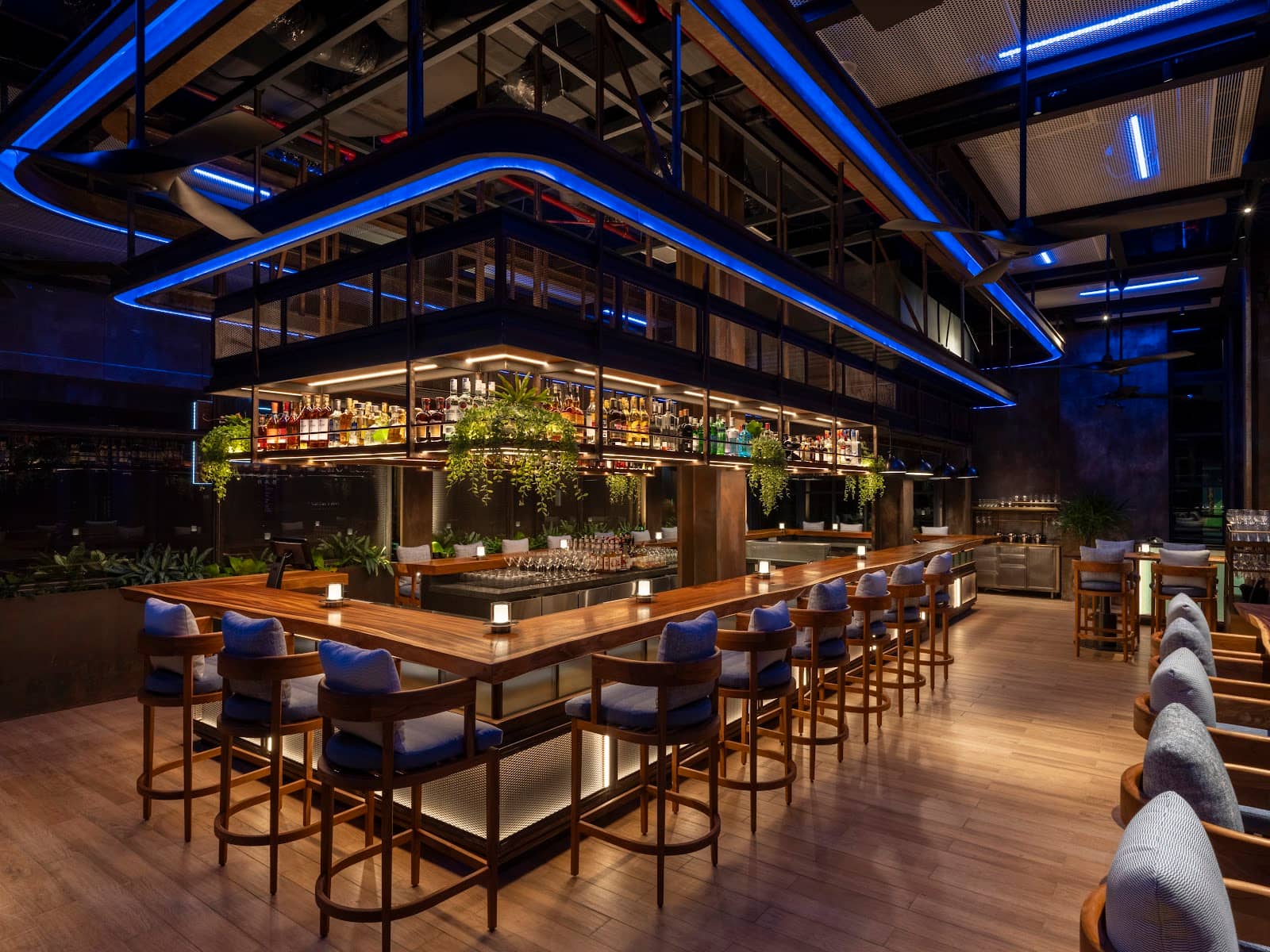 Unlimited Quesadillas