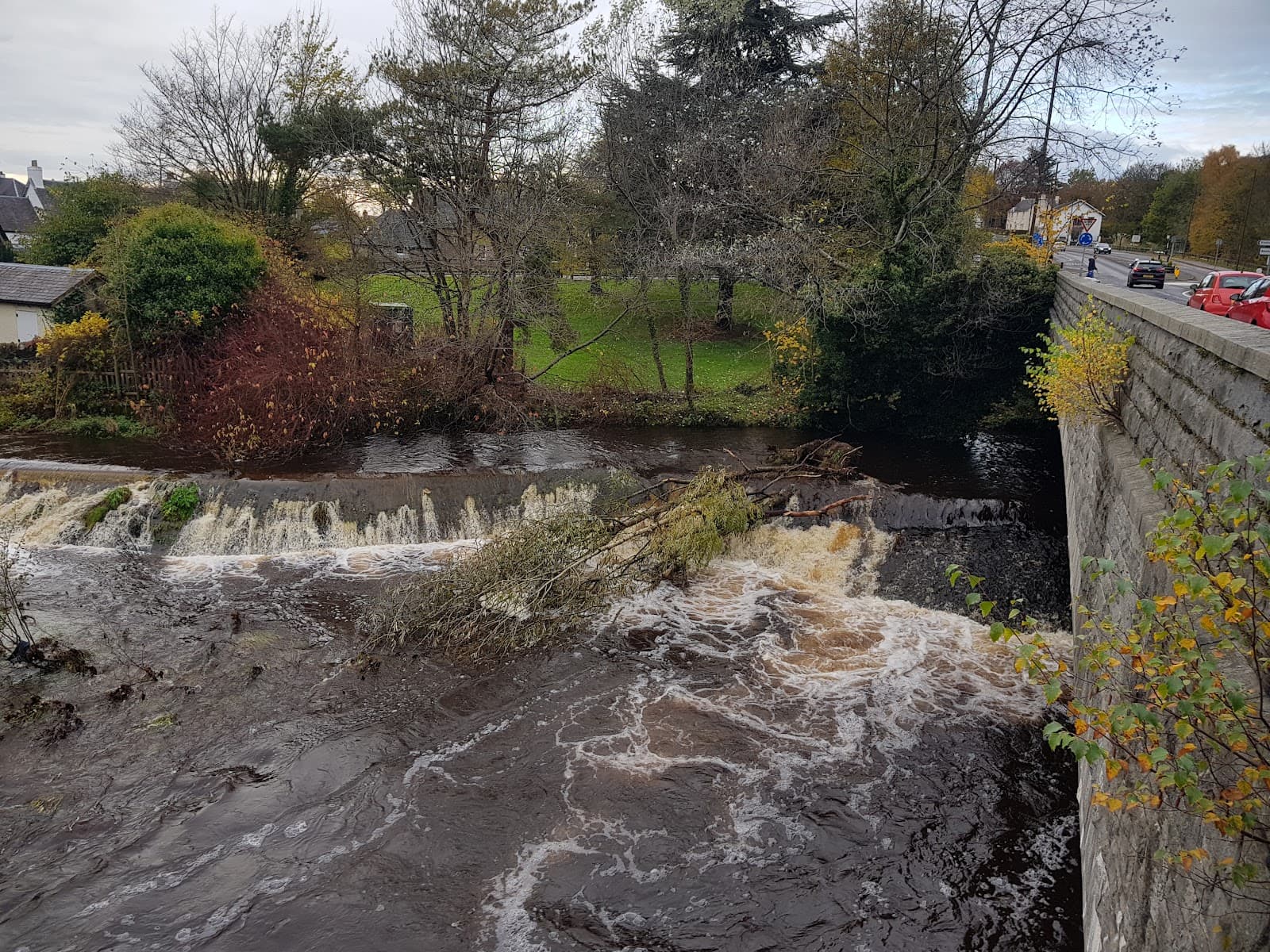 Allanwater Riverside Walk - Image 1
