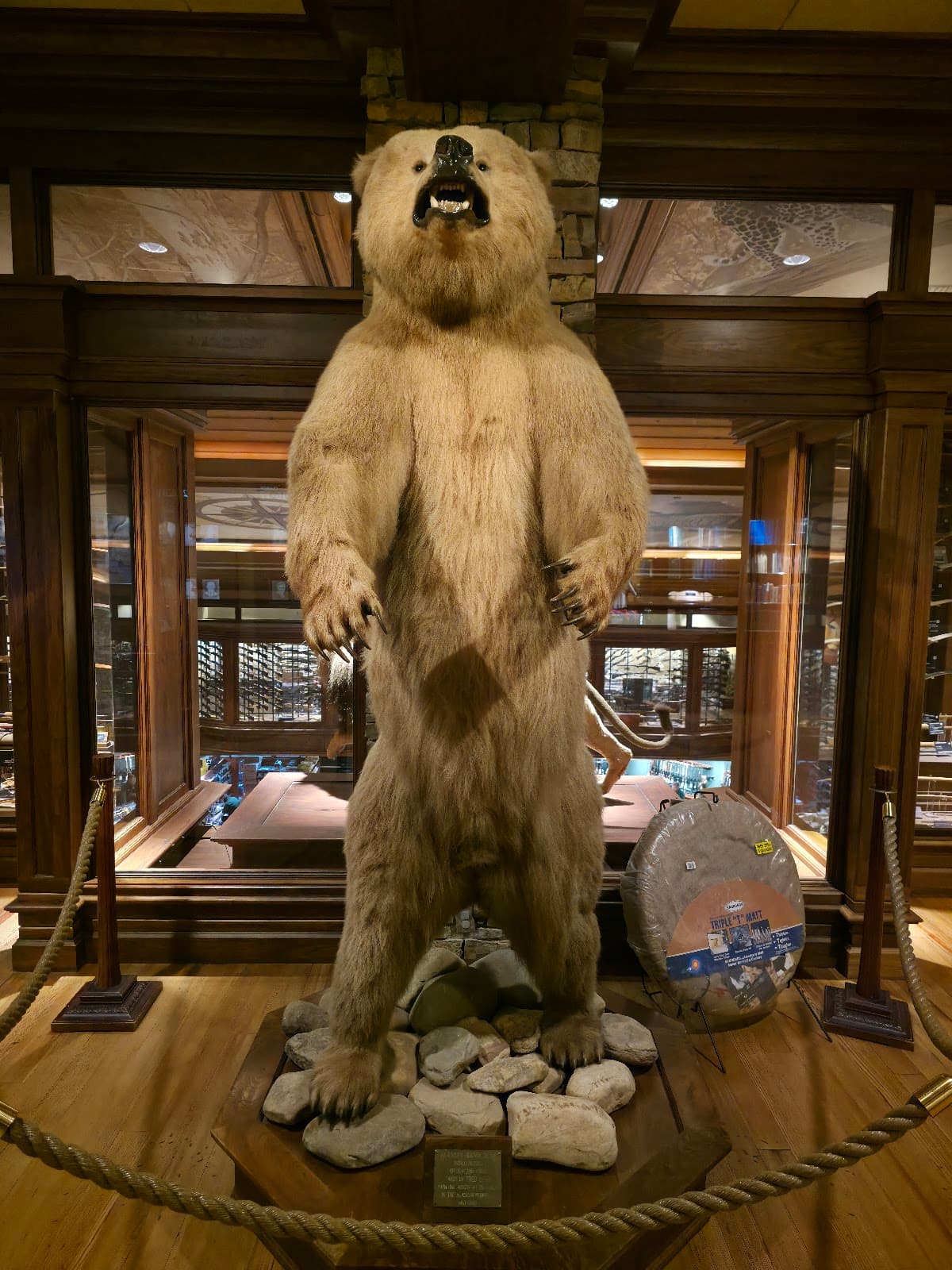 Archery Hall of Fame and Museum - Image 1