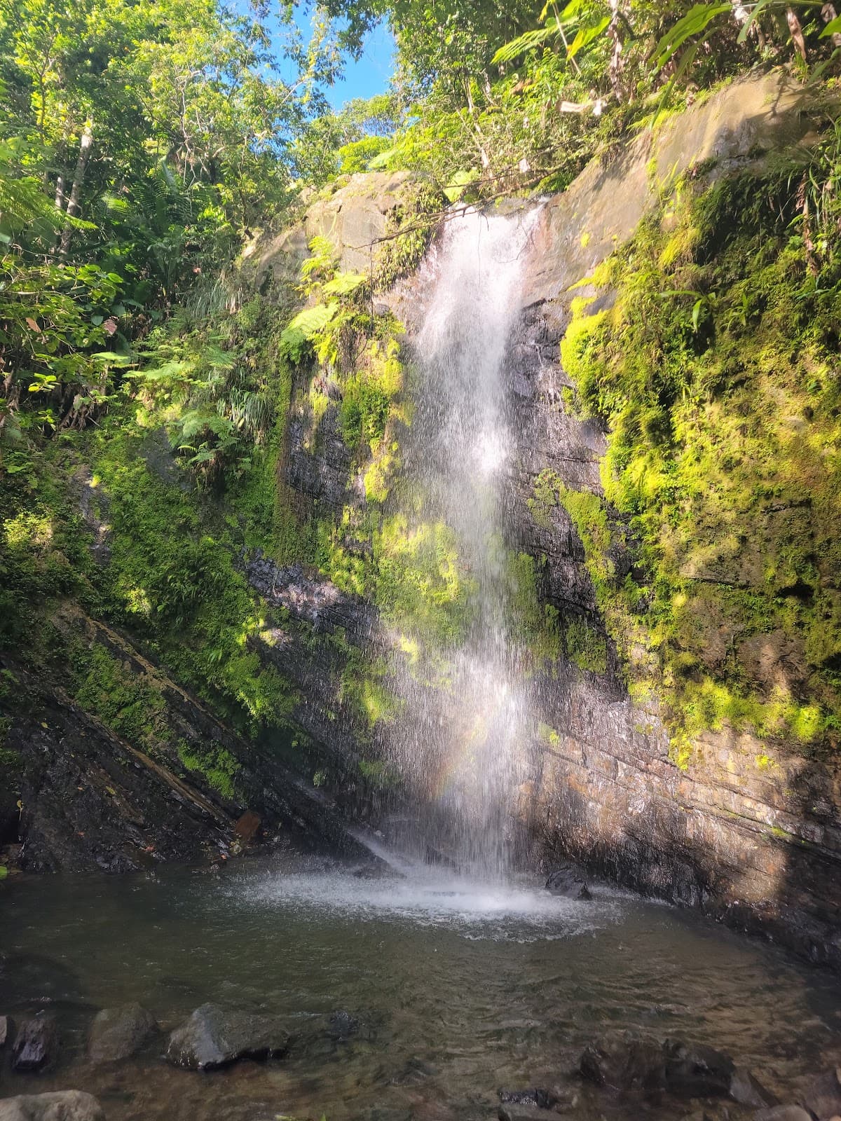 Juan Diego Falls - Image 1
