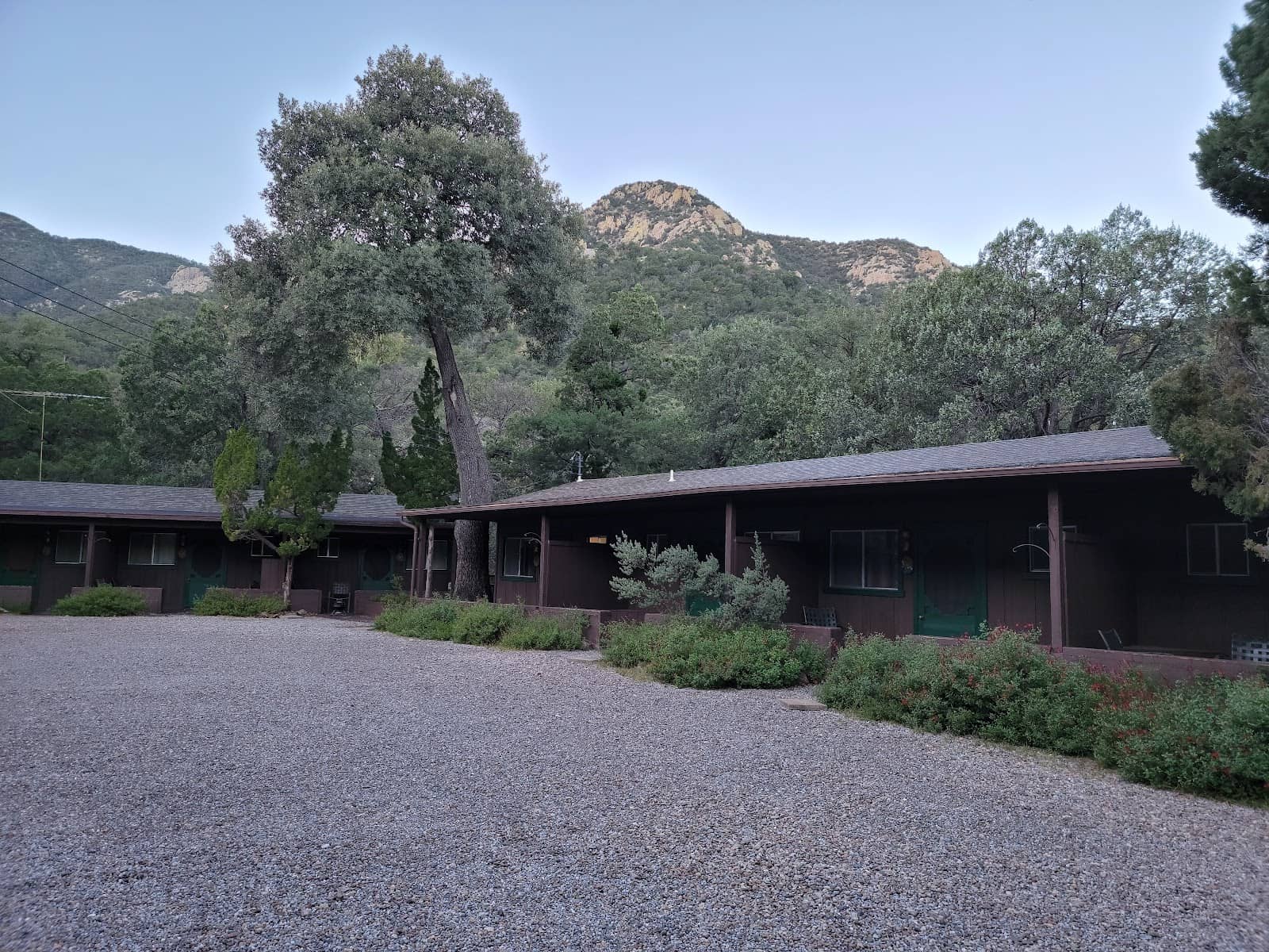 Elegant Trogan Spotting