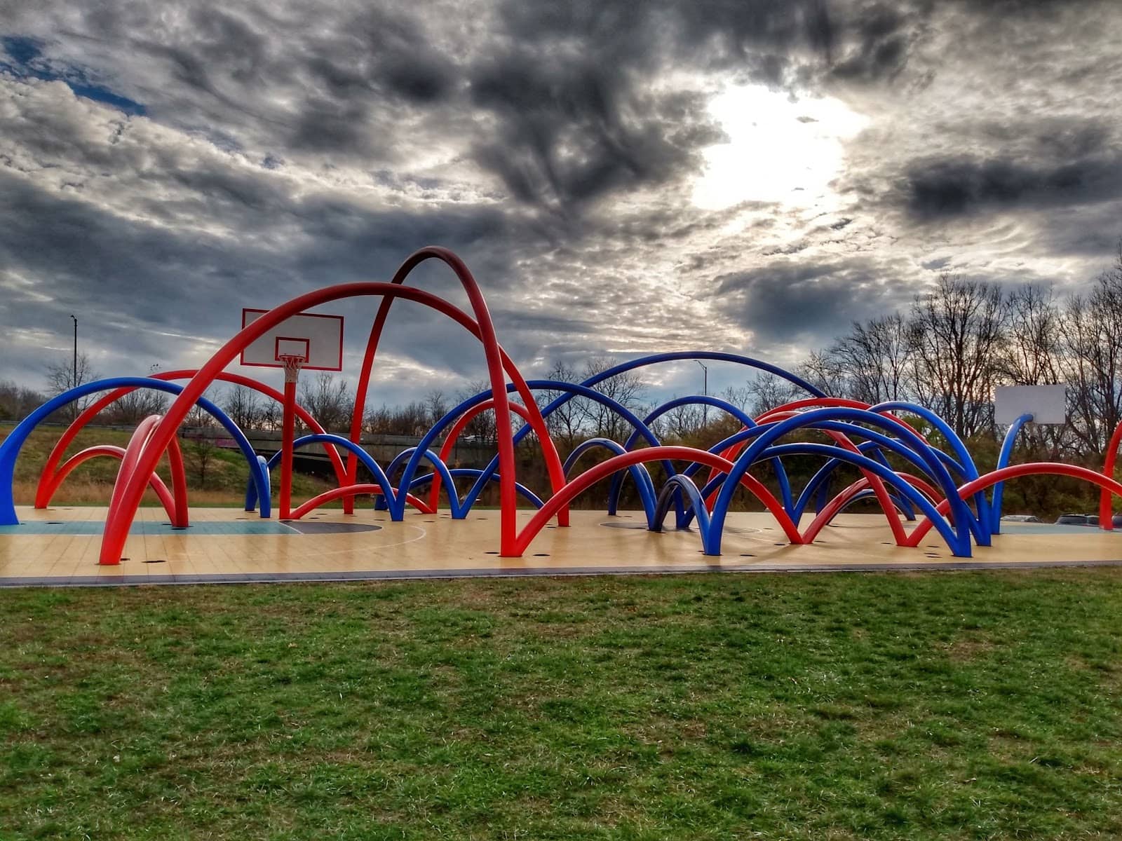 Native Pollinator Meadow