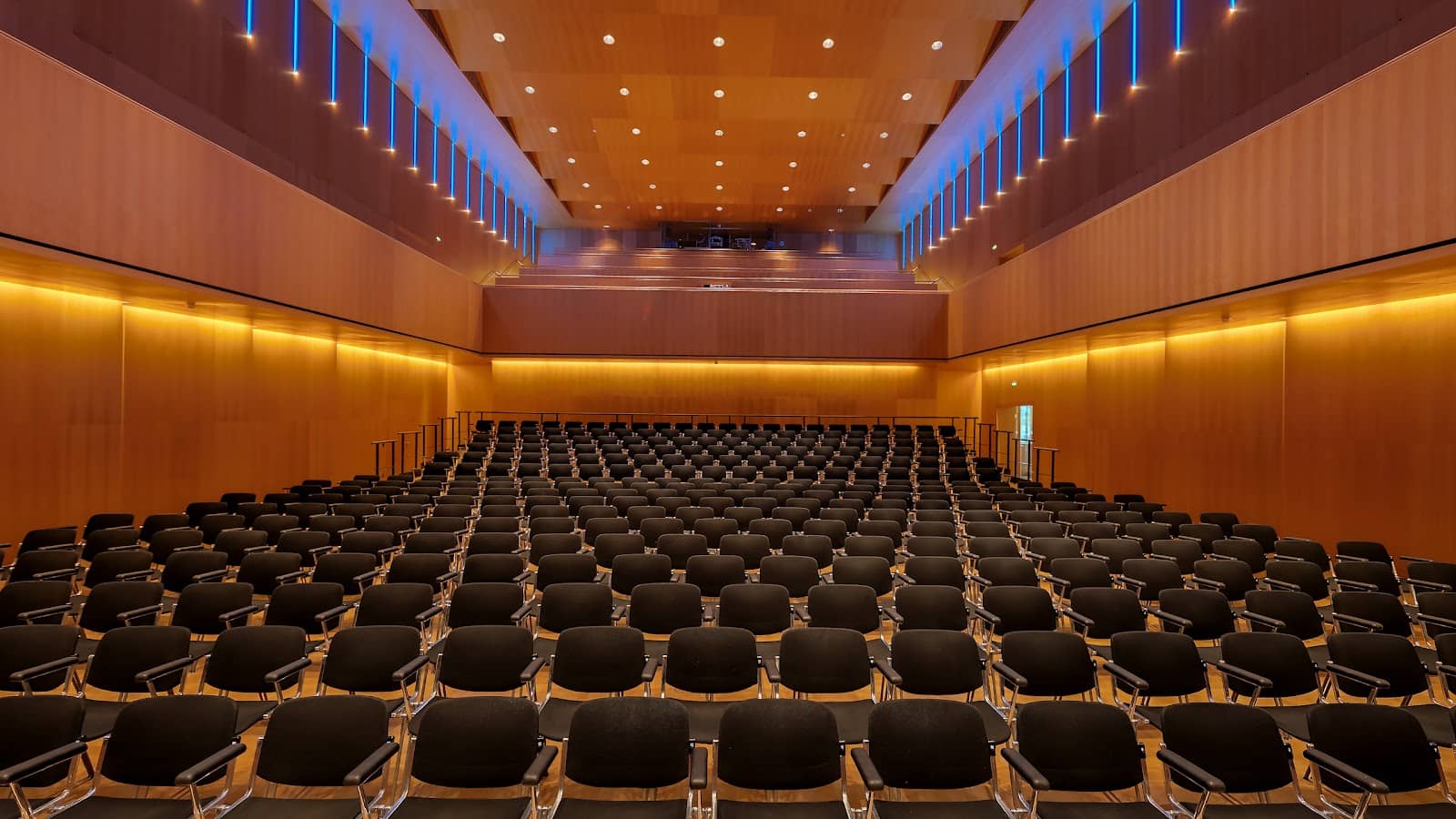 Family-Friendly Theater