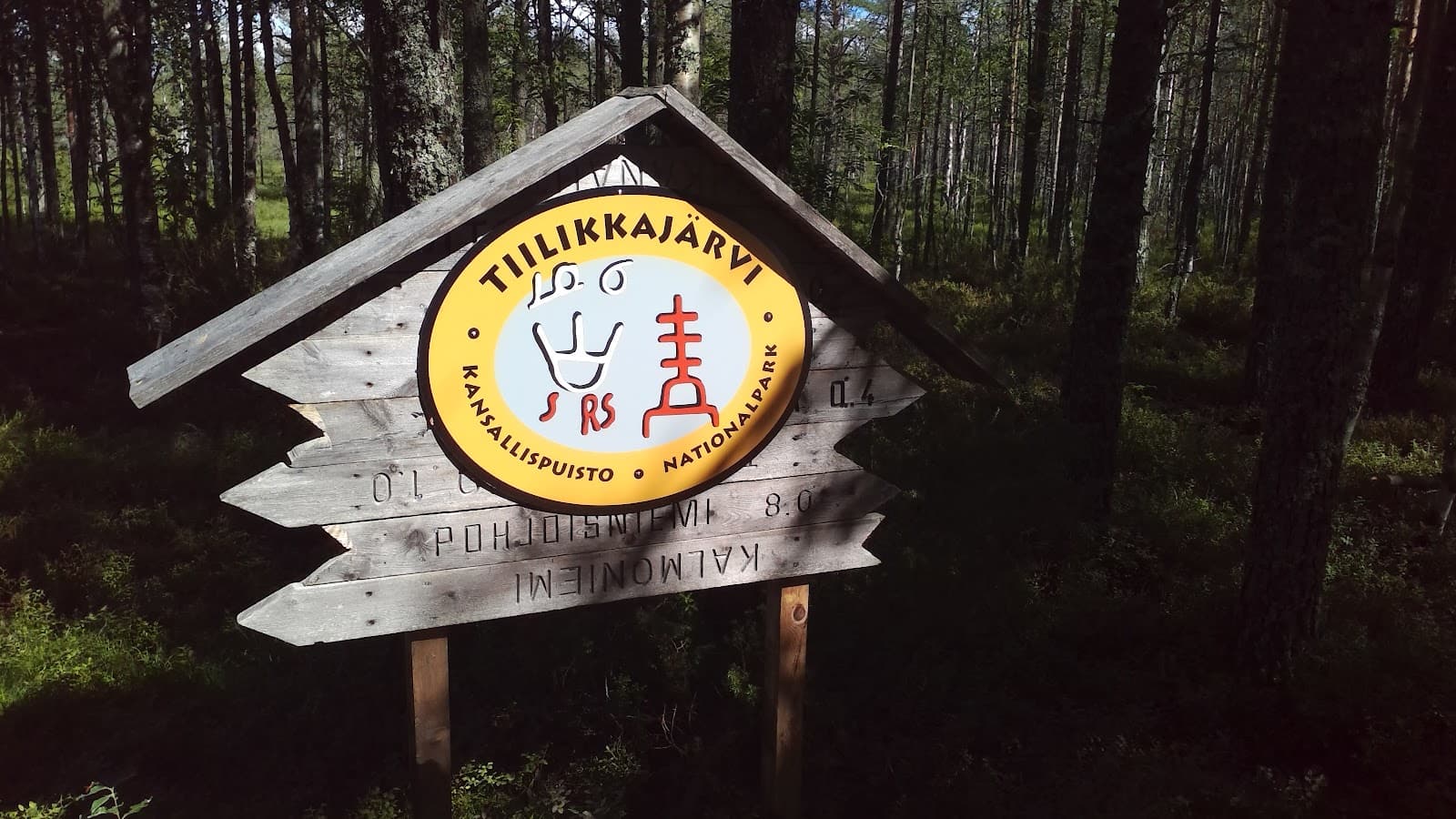 Tiilikkajärvi National Park - Image 1